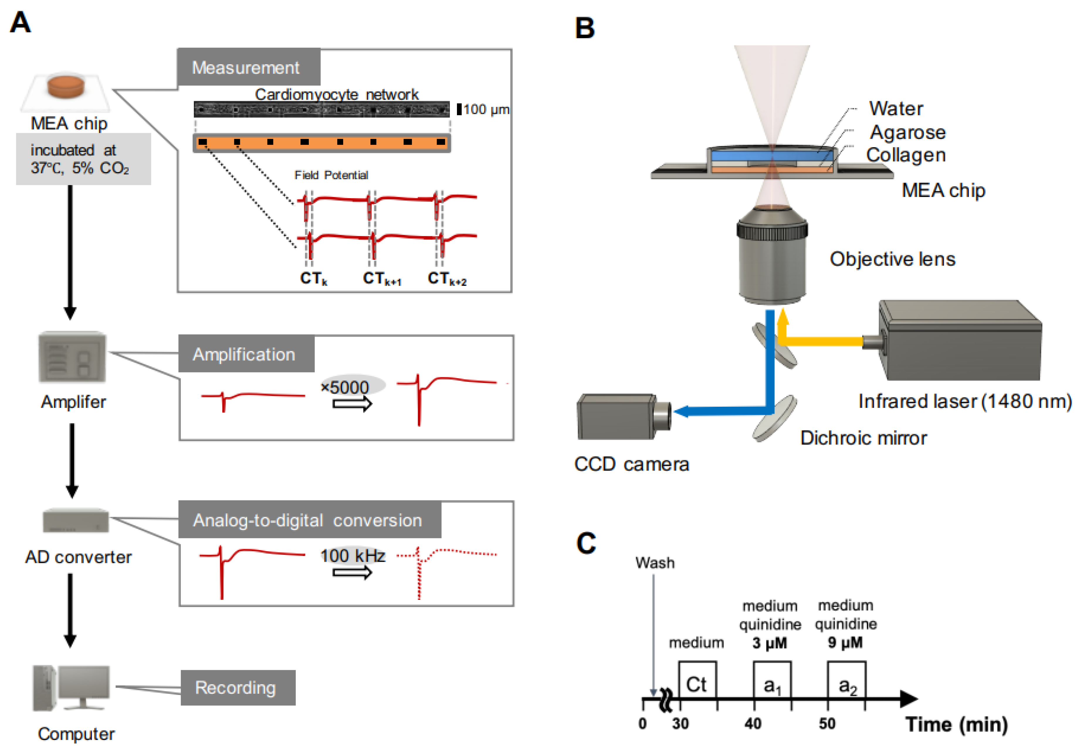 Micromachines 11 01105 g001 Micromachines 11 01105 g001