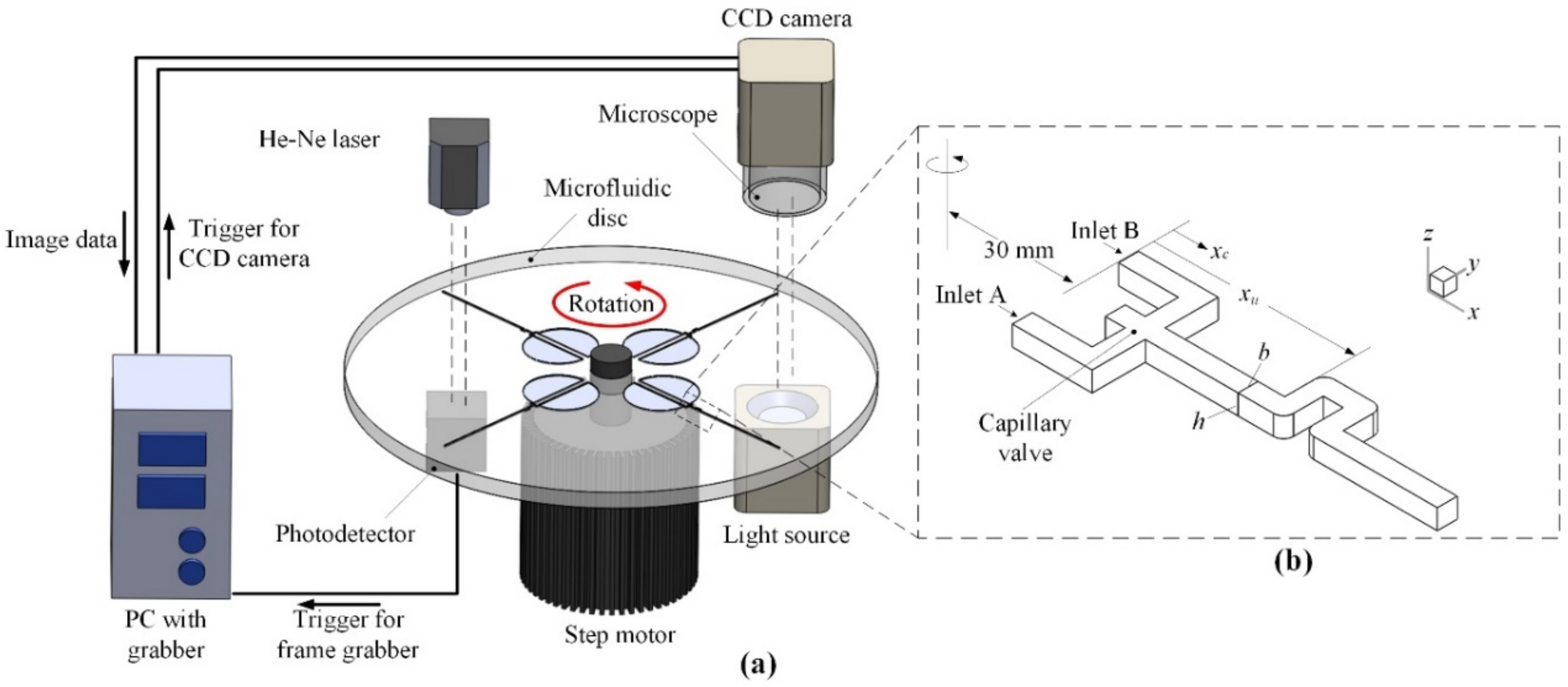 Micromachines 11 01110 g001