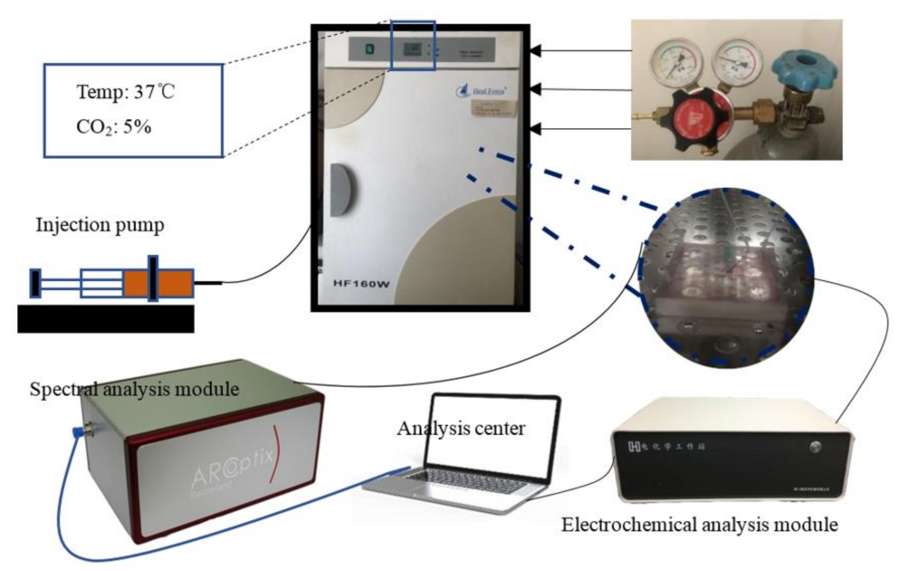 Micromachines 11 01118 g002