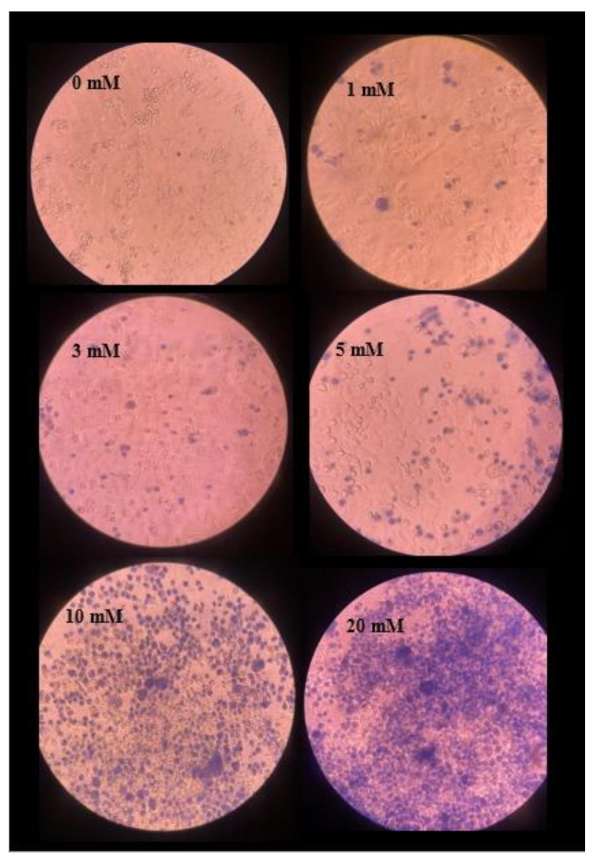 Micromachines 11 01118 g009