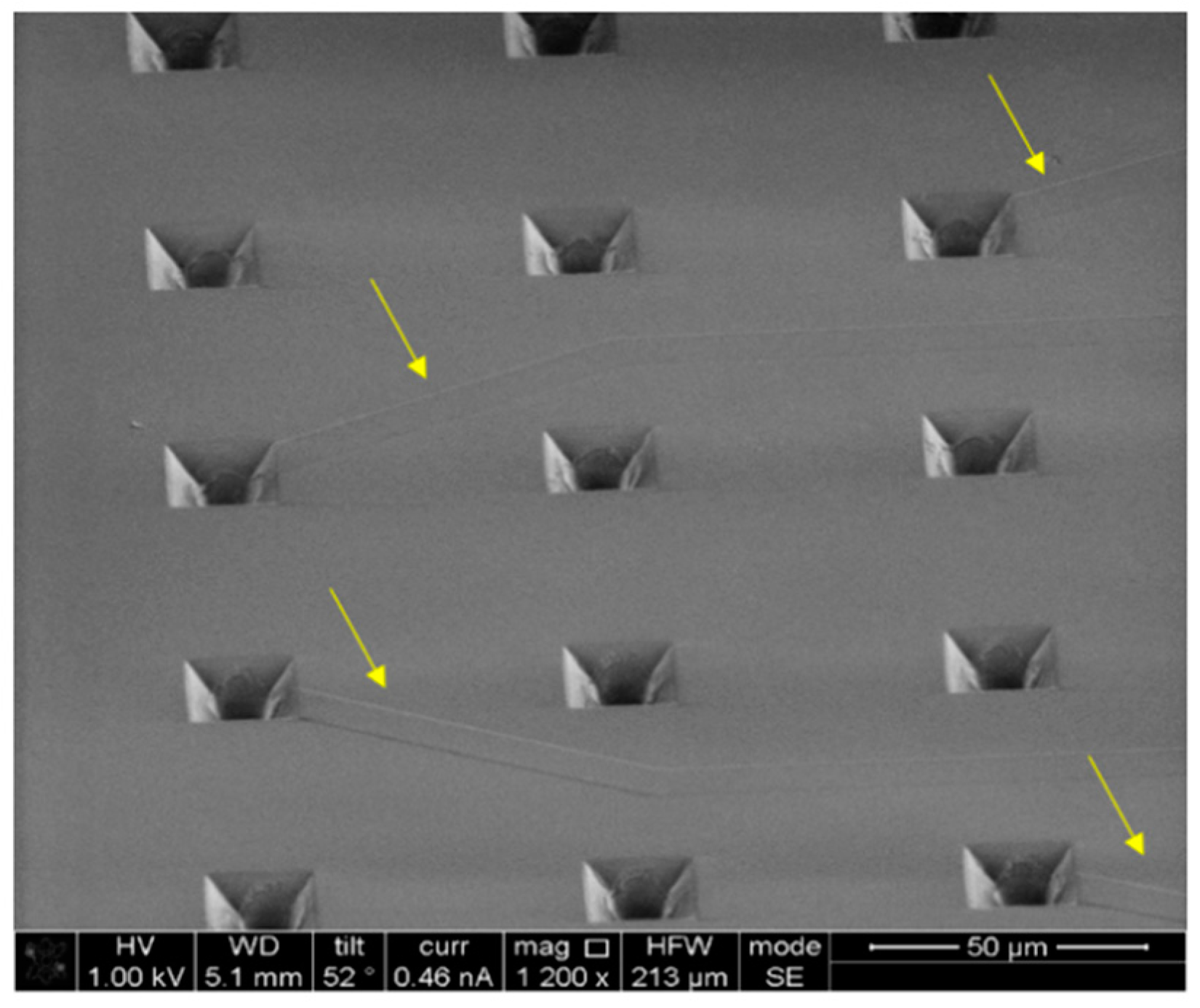 Micromachines 12 00021 g004