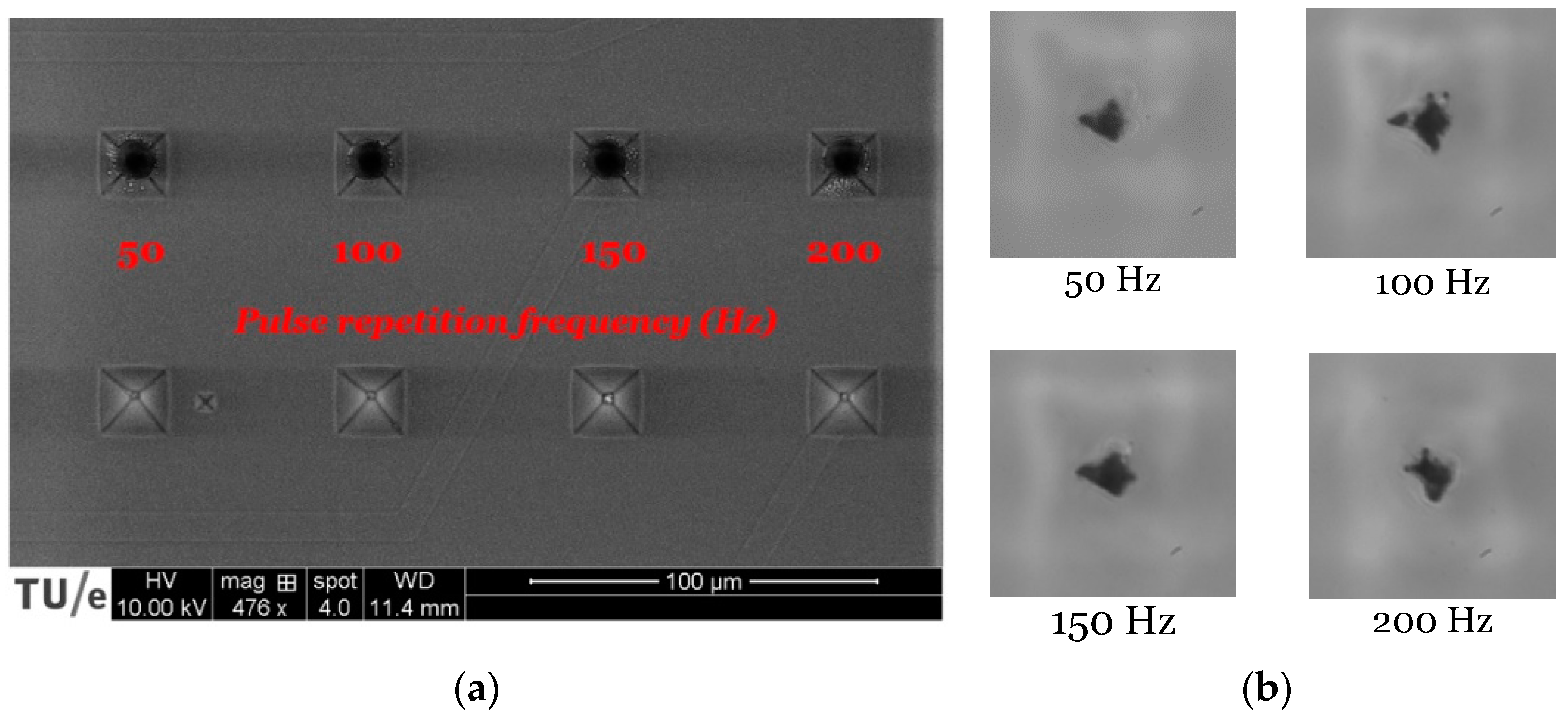 Micromachines 12 00021 g005