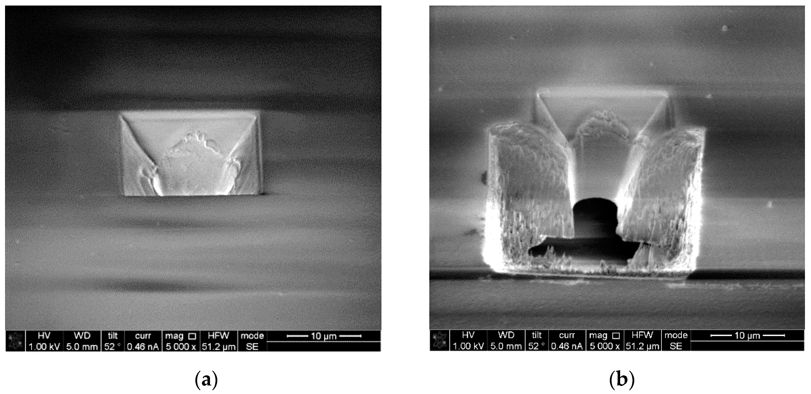 Micromachines 12 00021 g009