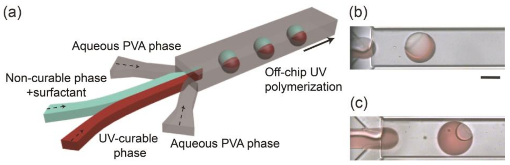 Micromachines 12 00029 g001 Micromachines 12 00029 g001