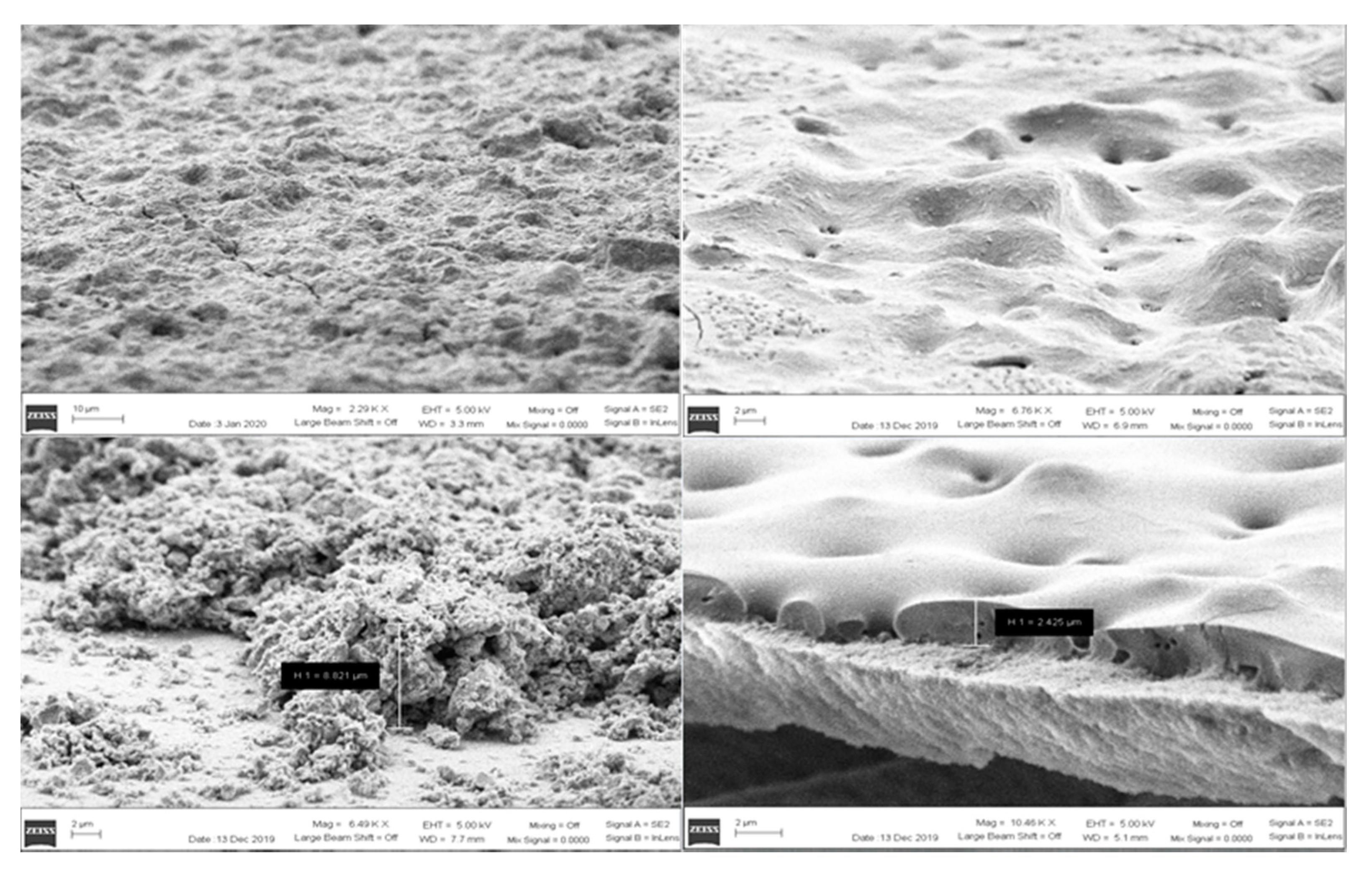 Micromachines 12 00042 g004