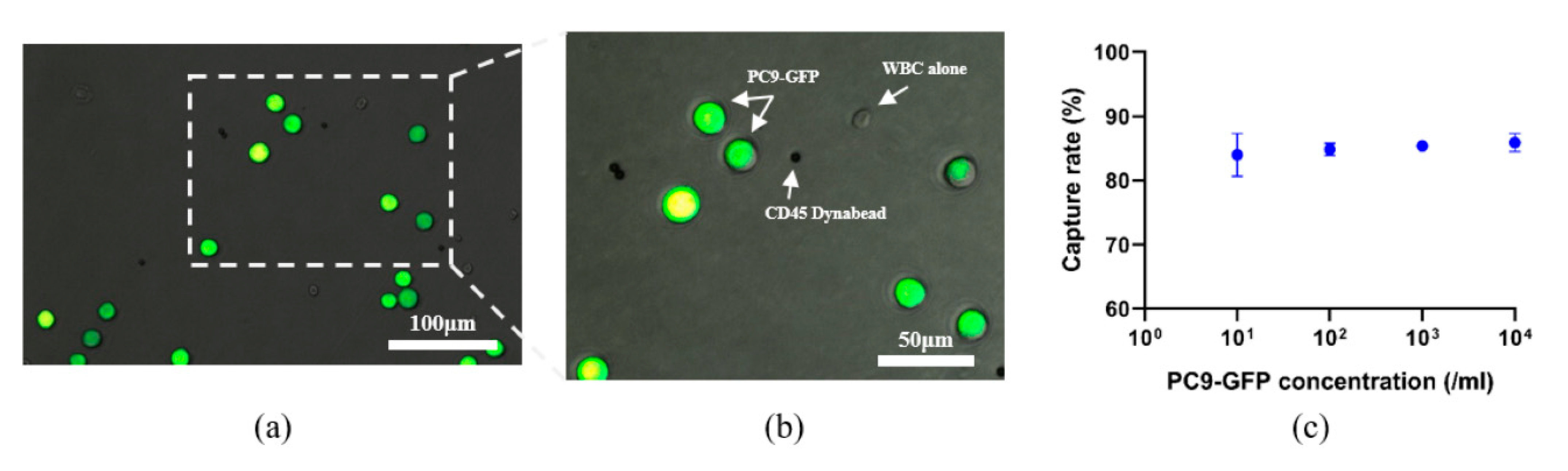 Micromachines 12 00049 g002