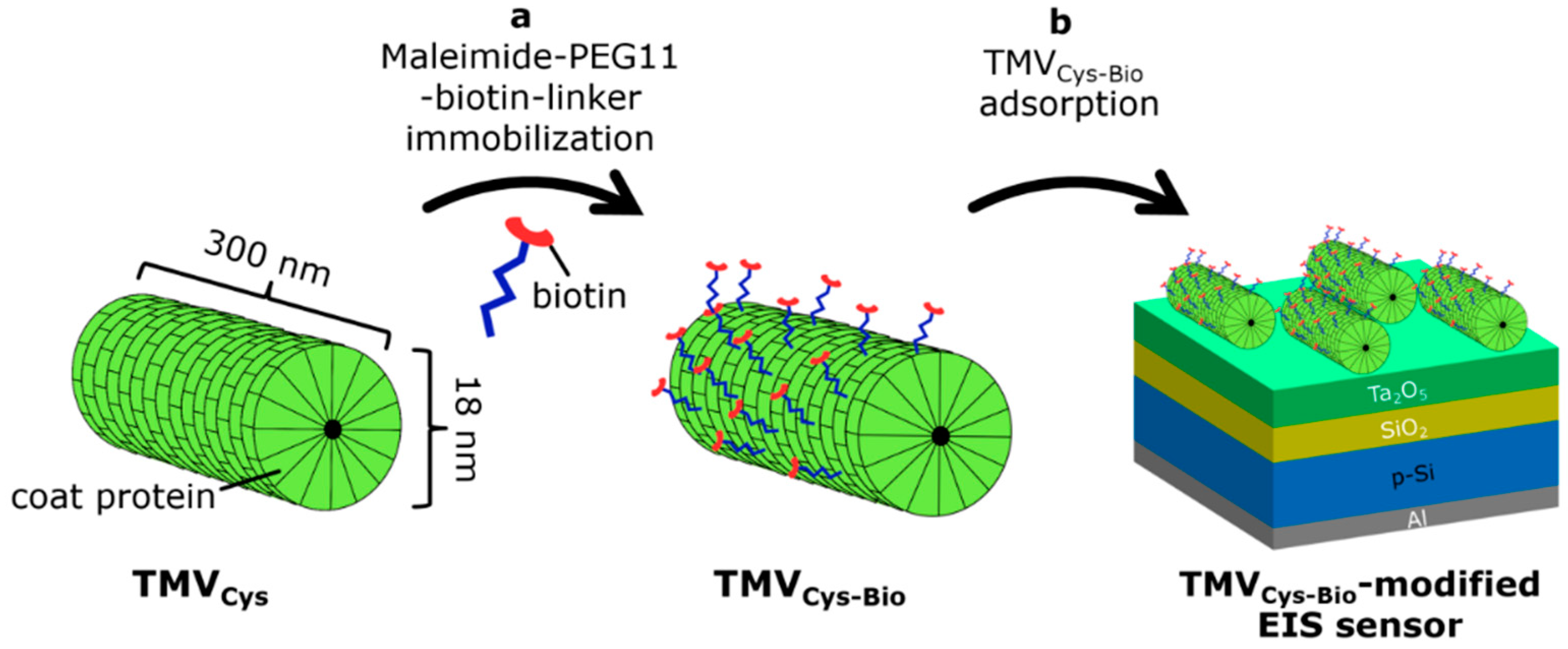 Micromachines 12 00057 g002 Micromachines 12 00057 g002