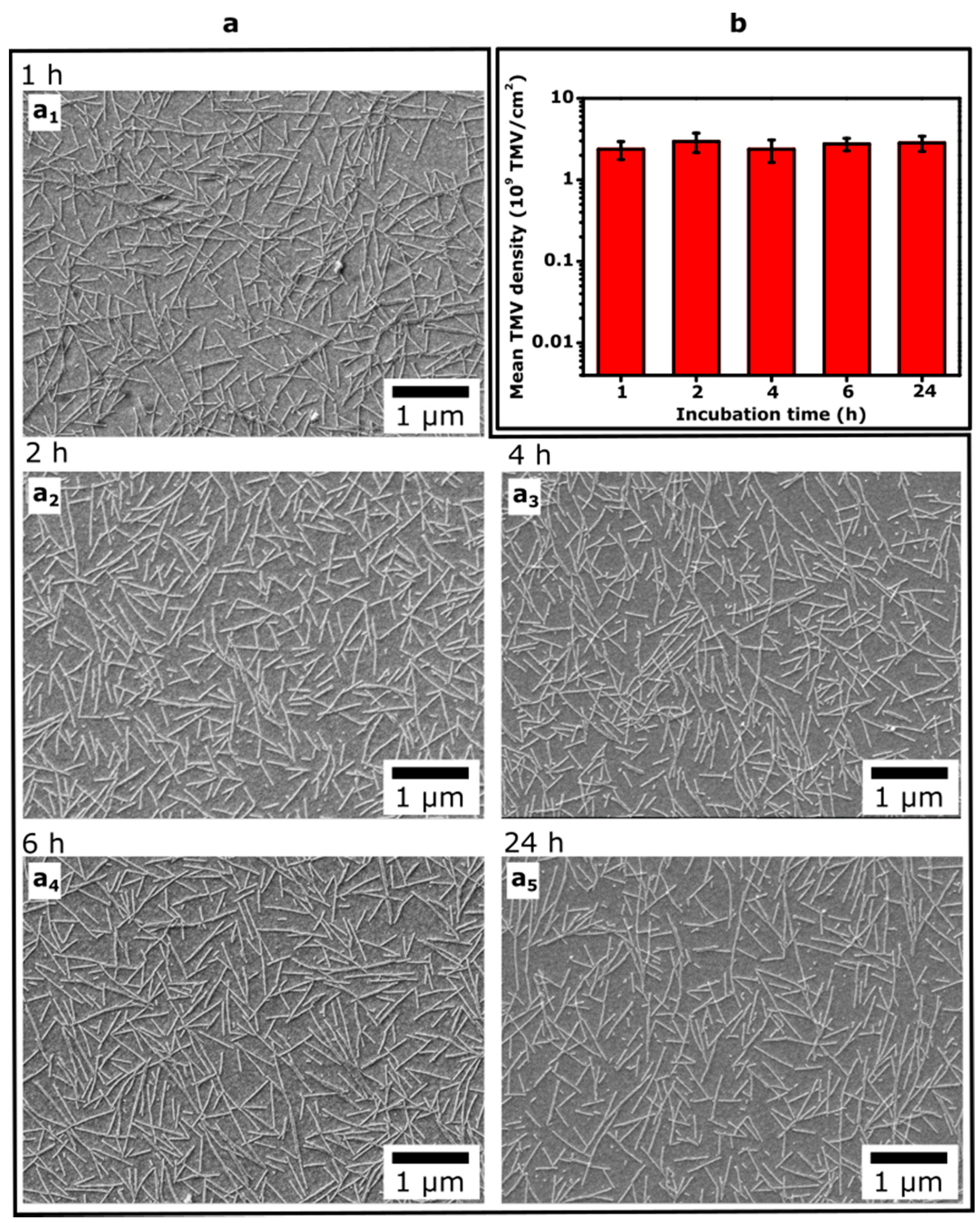 Micromachines 12 00057 g006 Micromachines 12 00057 g006