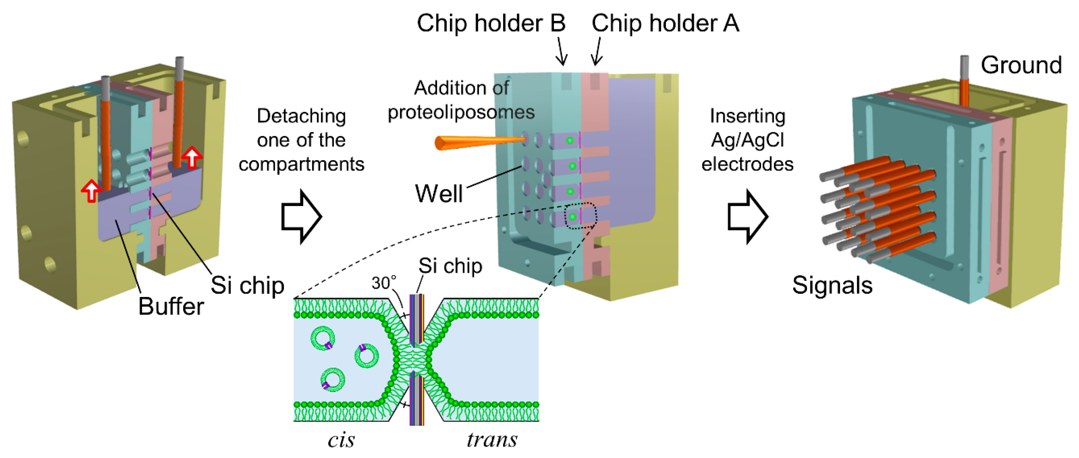 Micromachines 12 00098 g002 Micromachines 12 00098 g002