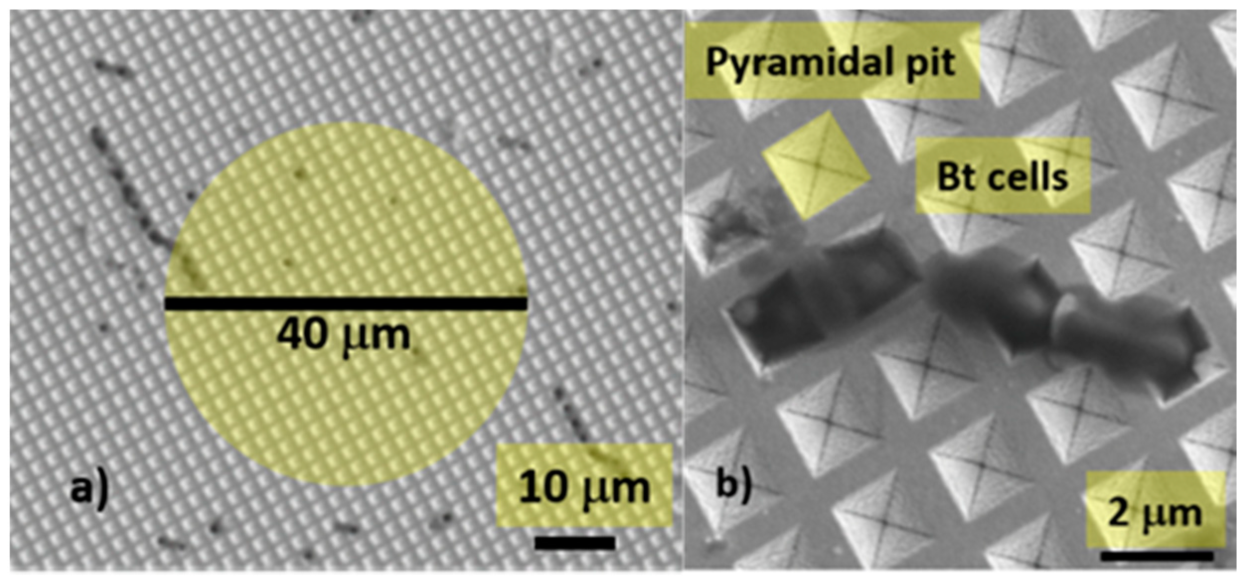 Micromachines 12 00100 g001