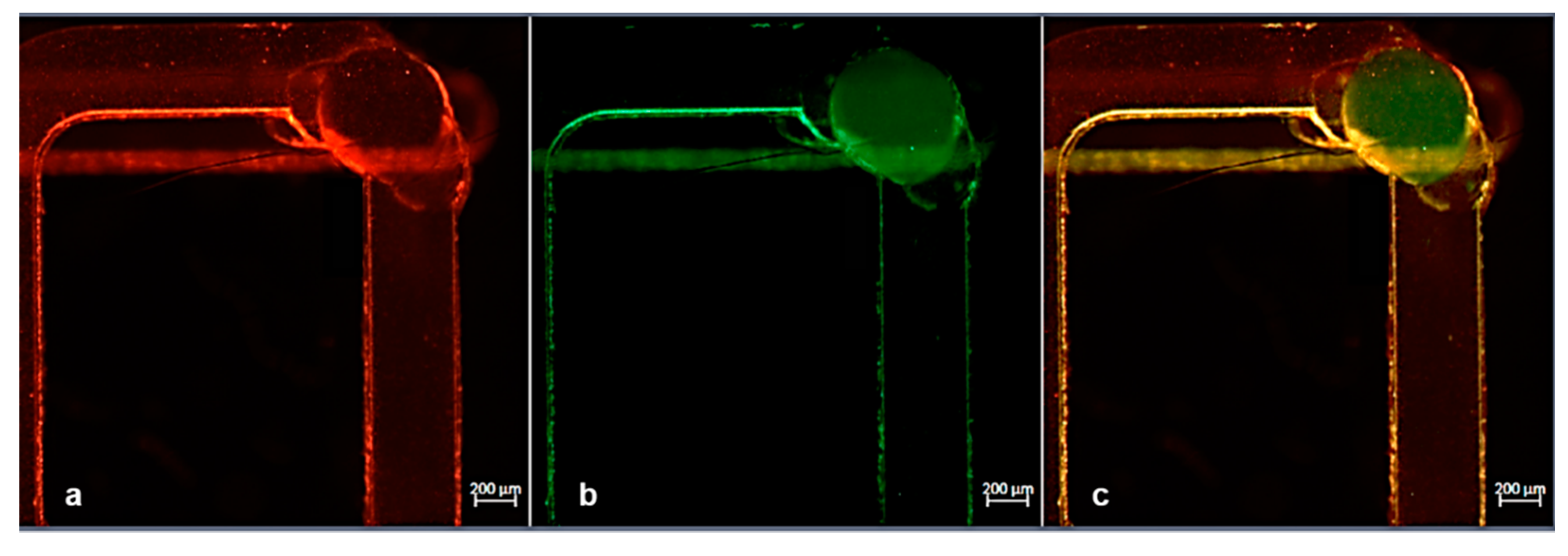 Micromachines 12 00104 g009