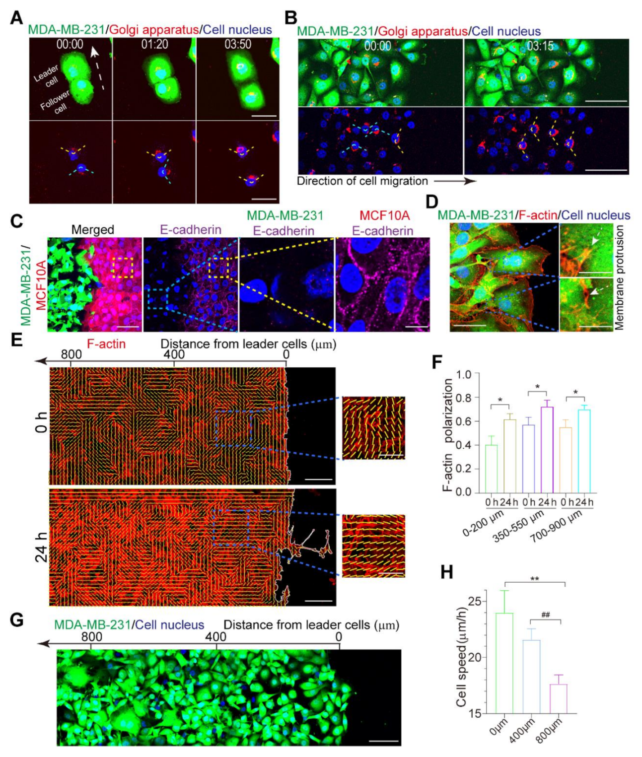 Micromachines 12 00112 g002