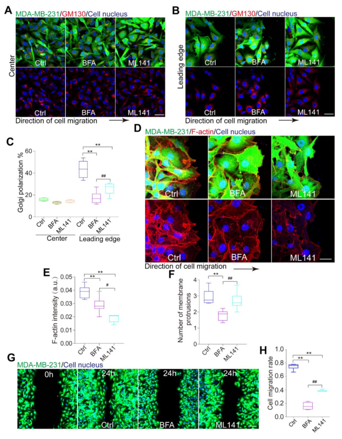 Micromachines 12 00112 g003