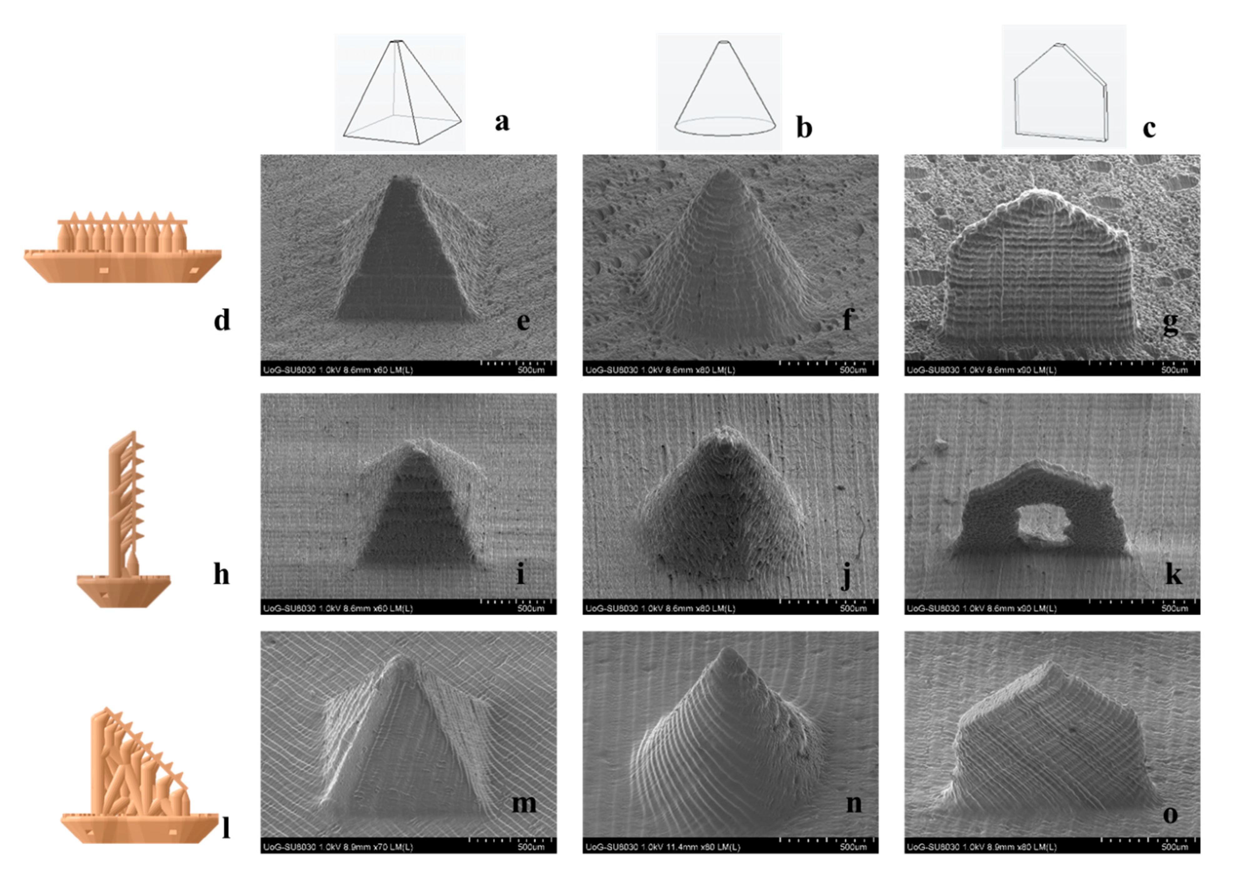 Micromachines 12 00117 g002