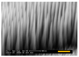 Micromachines 12 00119 i005 Micromachines 12 00119 i005