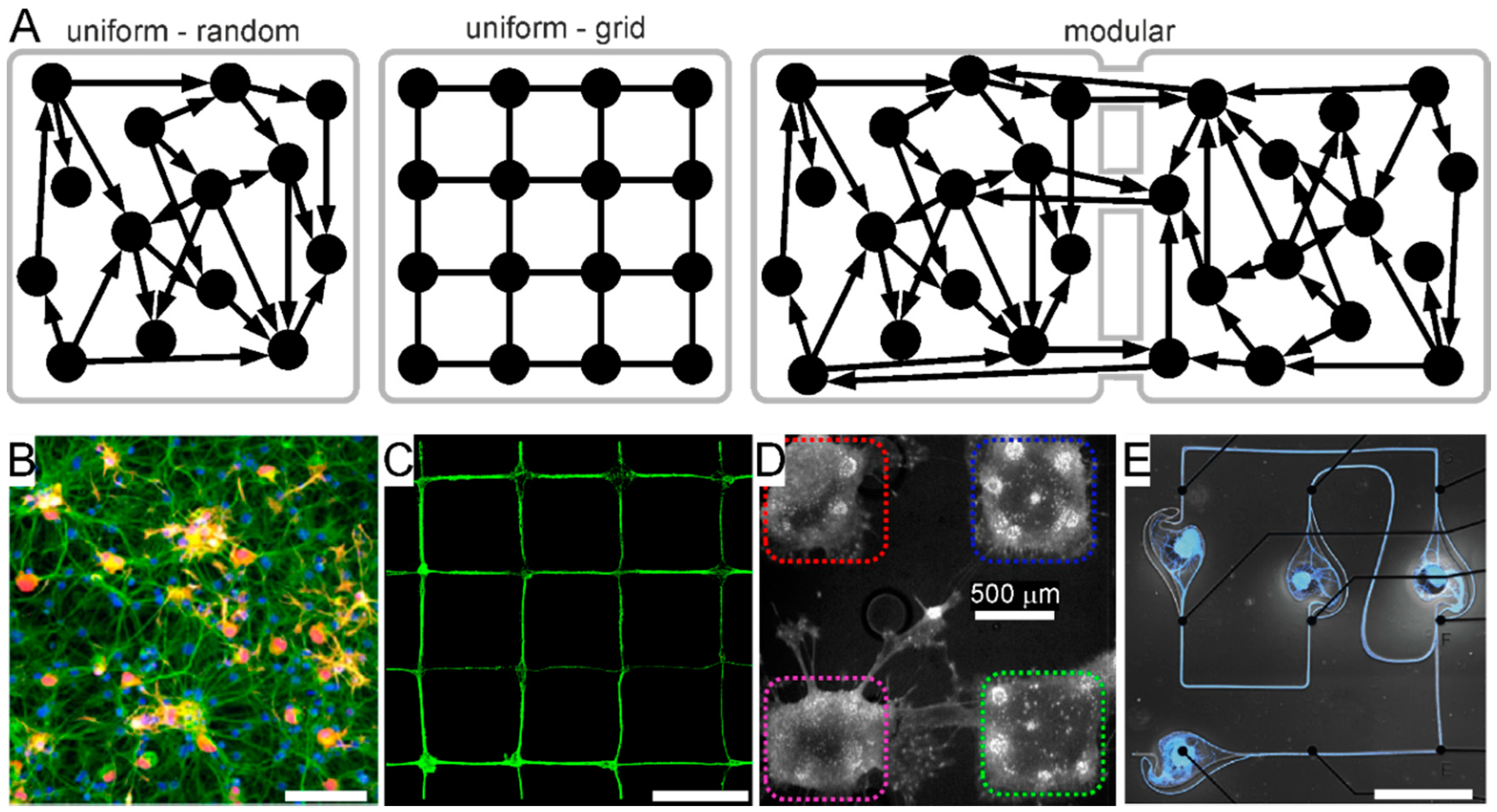 Micromachines 12 00124 g002