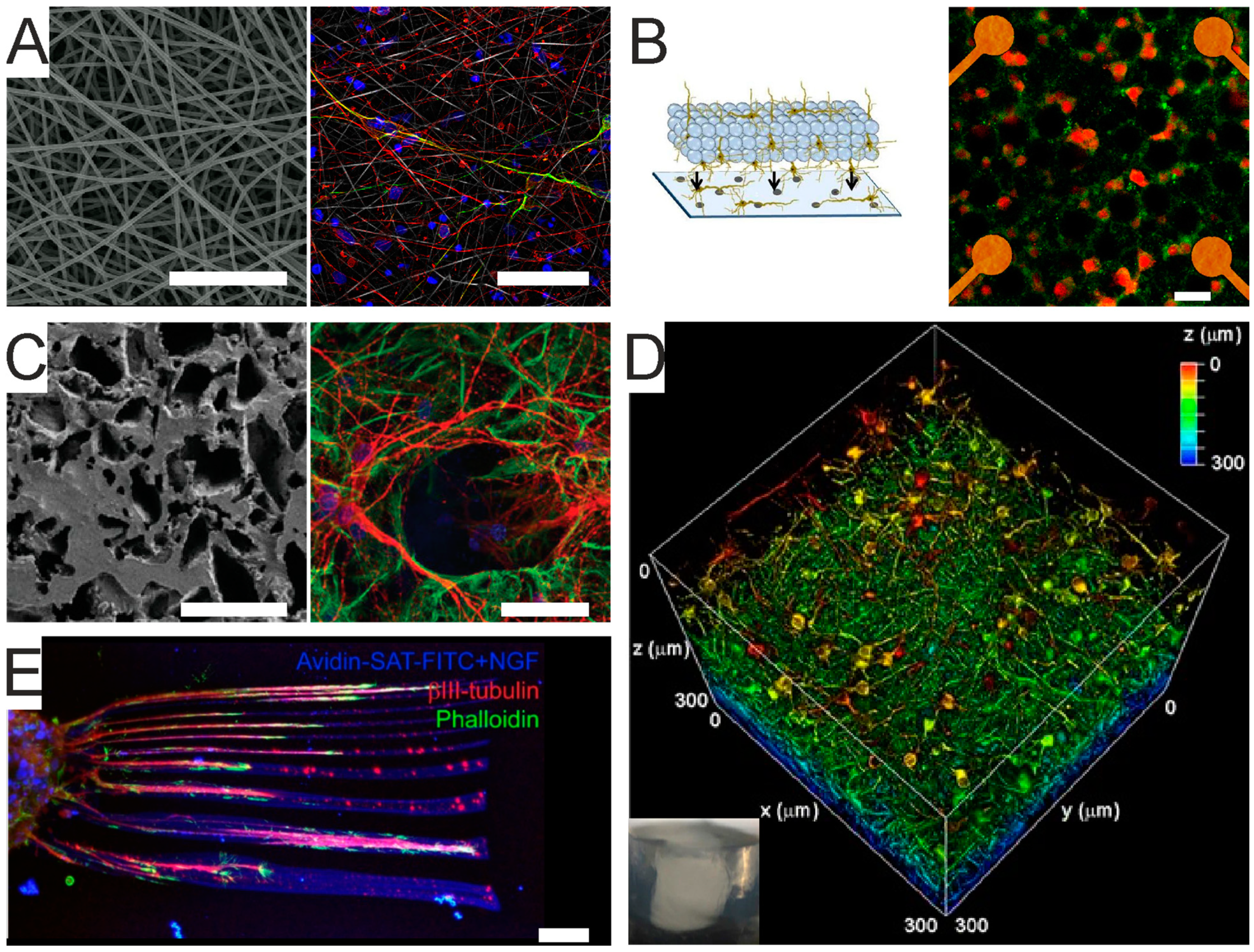 Micromachines 12 00124 g003