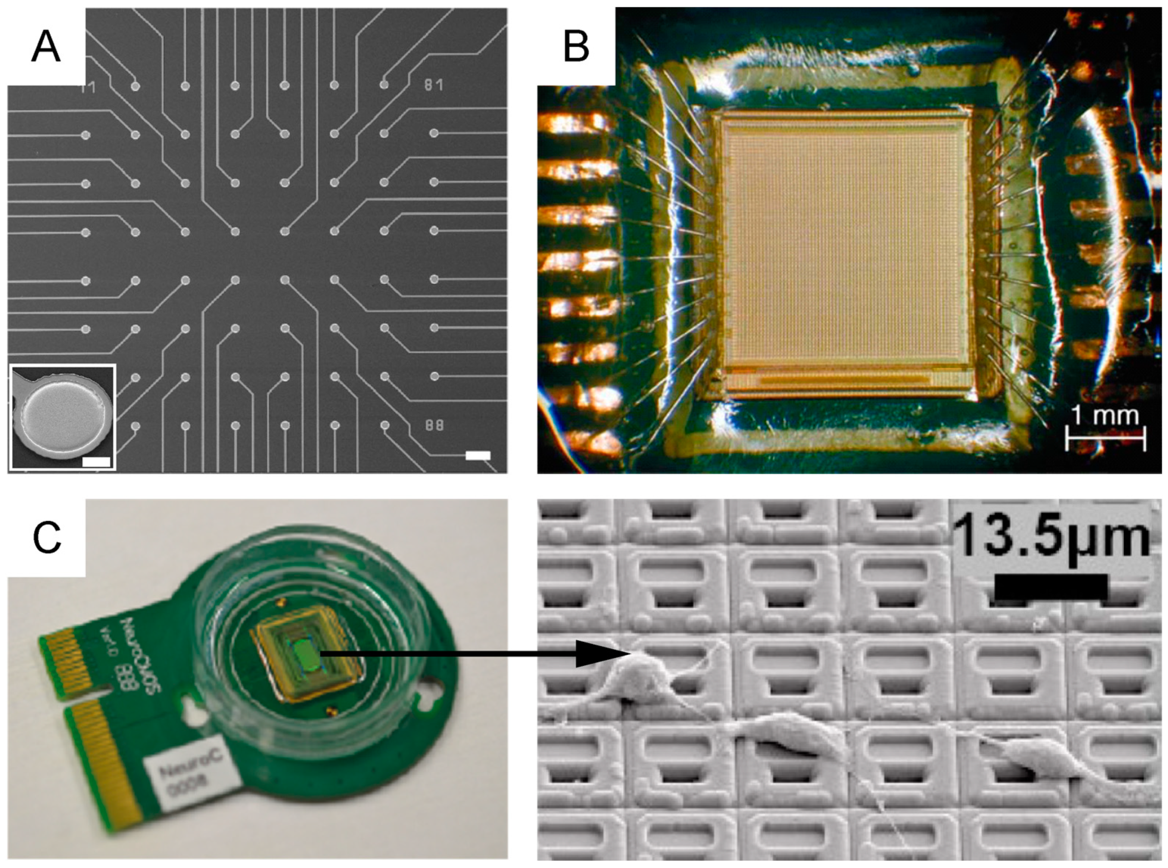 Micromachines 12 00124 g008