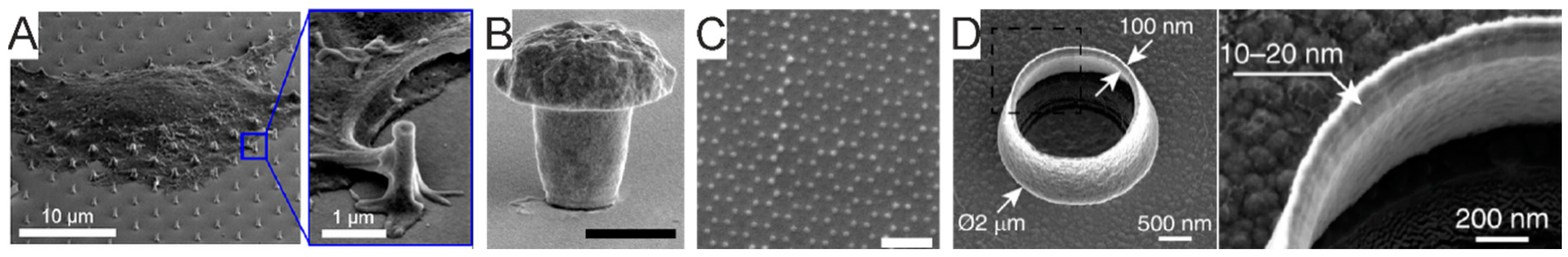 Micromachines 12 00124 g012