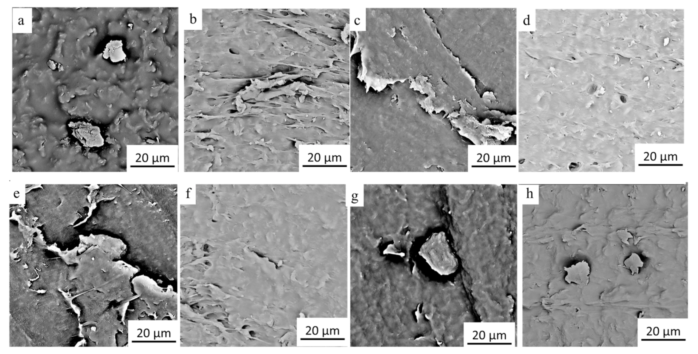 Micromachines 12 00129 g005