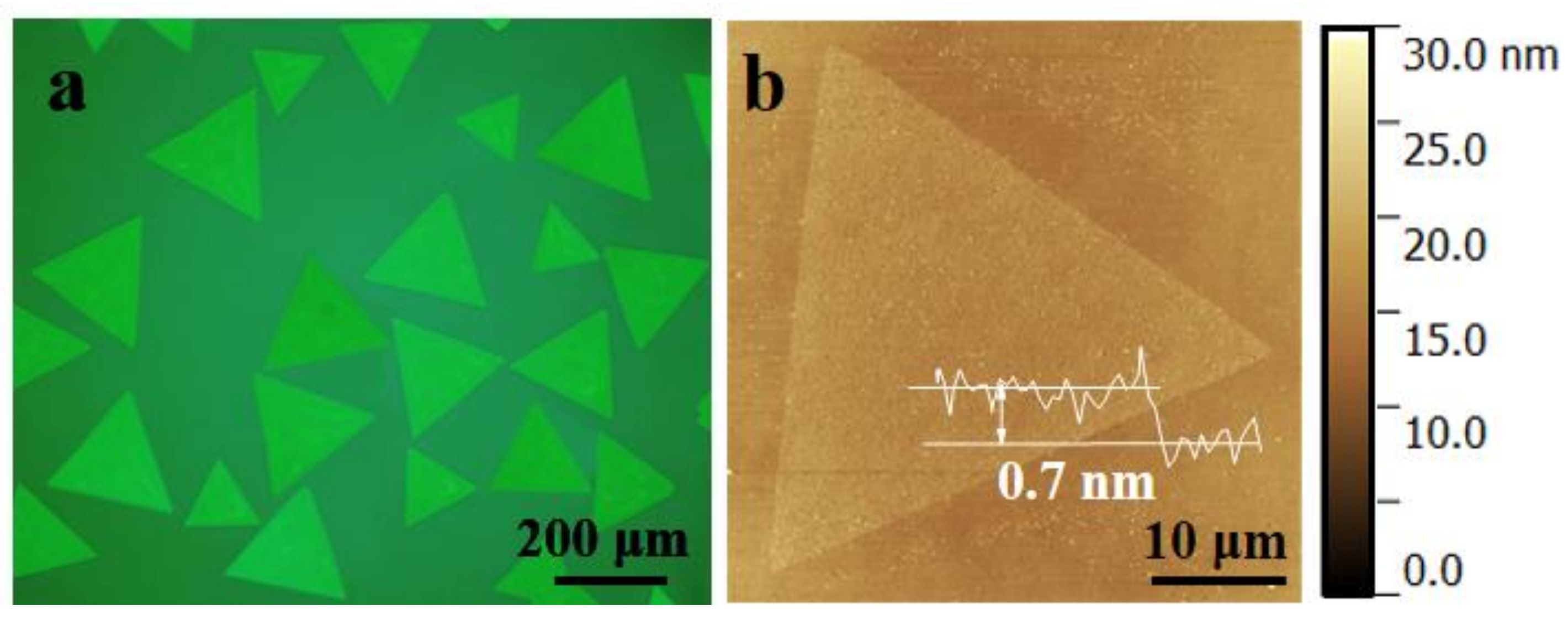 Micromachines 12 00137 g001