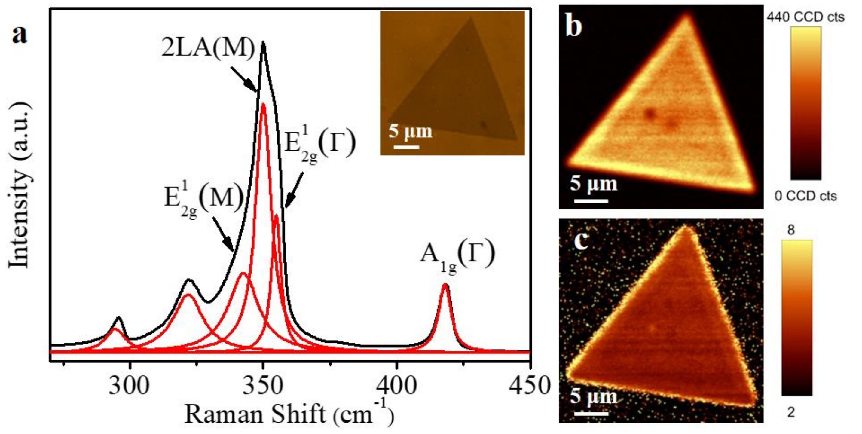 Micromachines 12 00137 g002