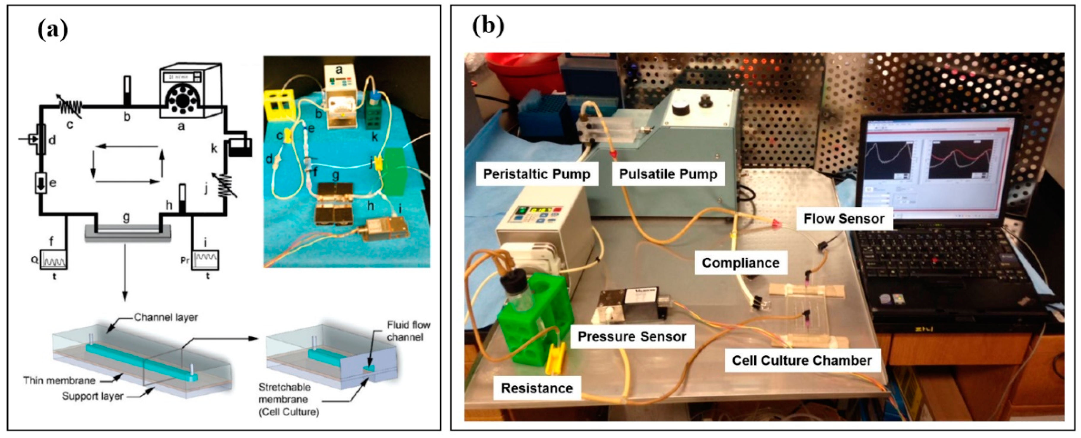 Micromachines 12 00139 g003 Micromachines 12 00139 g003