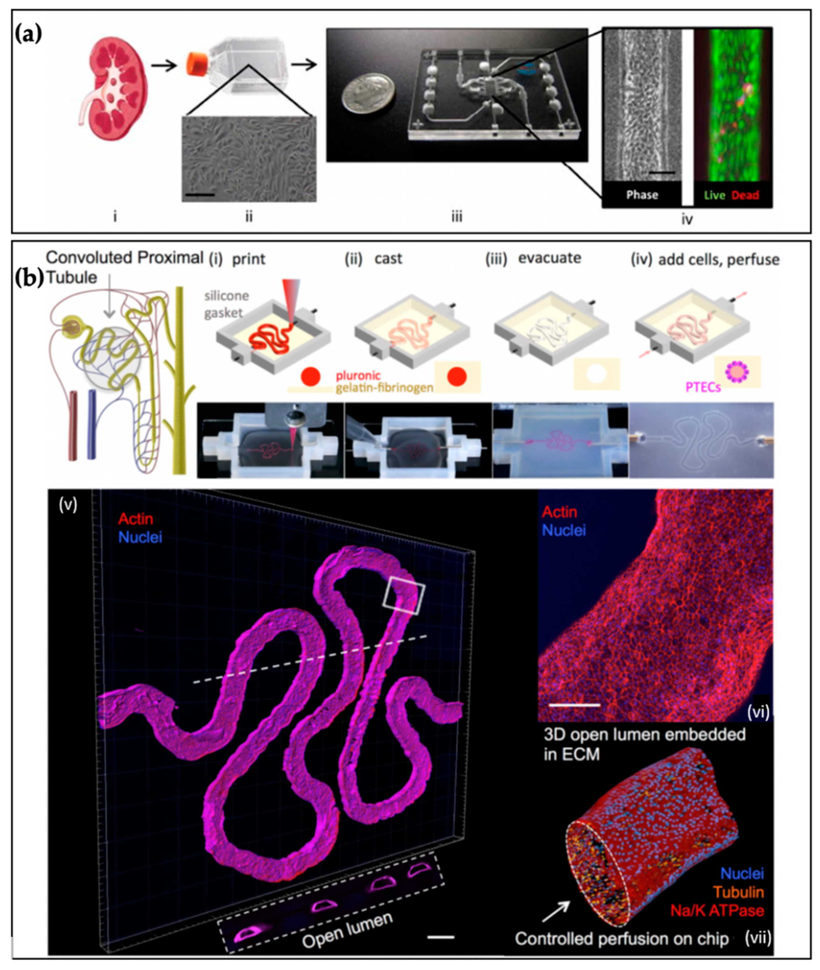 Micromachines 12 00139 g005 Micromachines 12 00139 g005