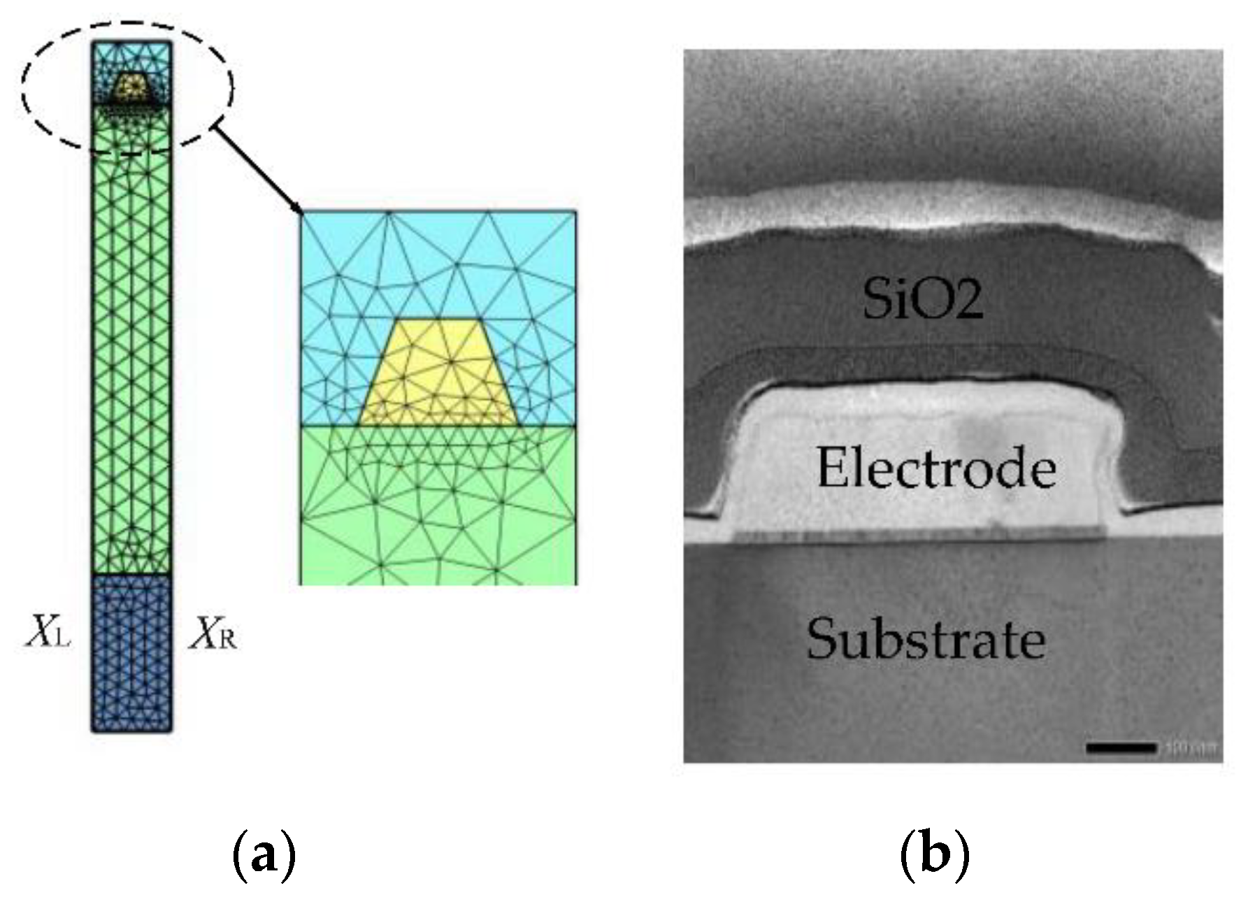 Micromachines 12 00141 g002