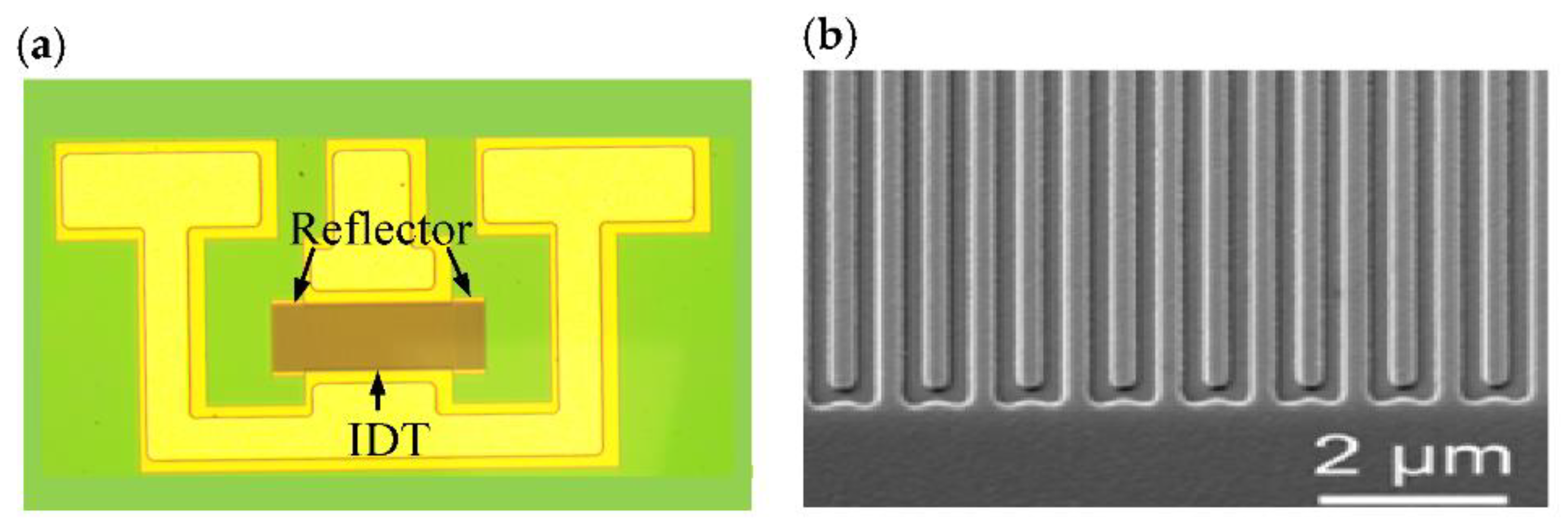Micromachines 12 00141 g003