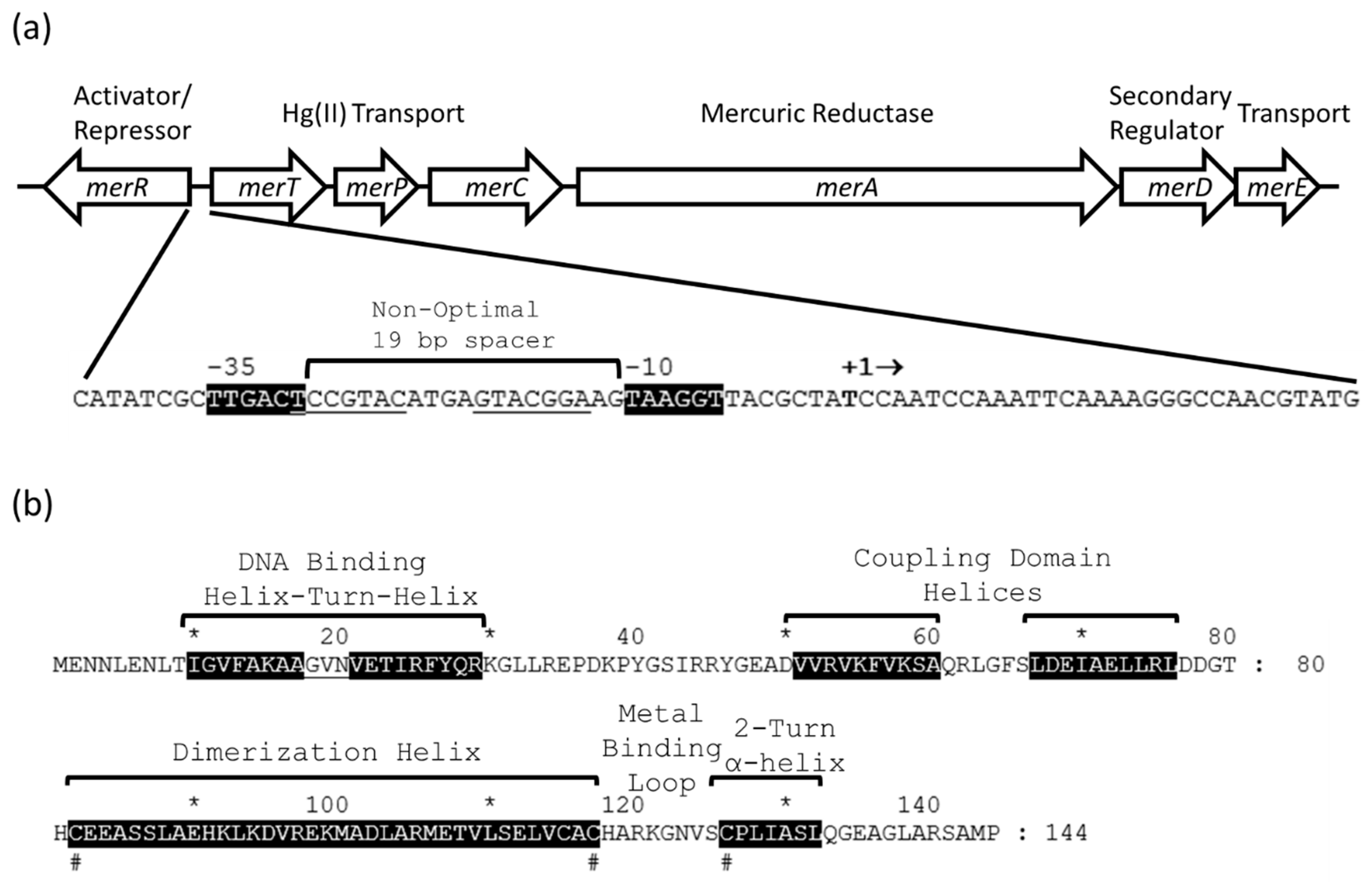 Micromachines 12 00142 g001
