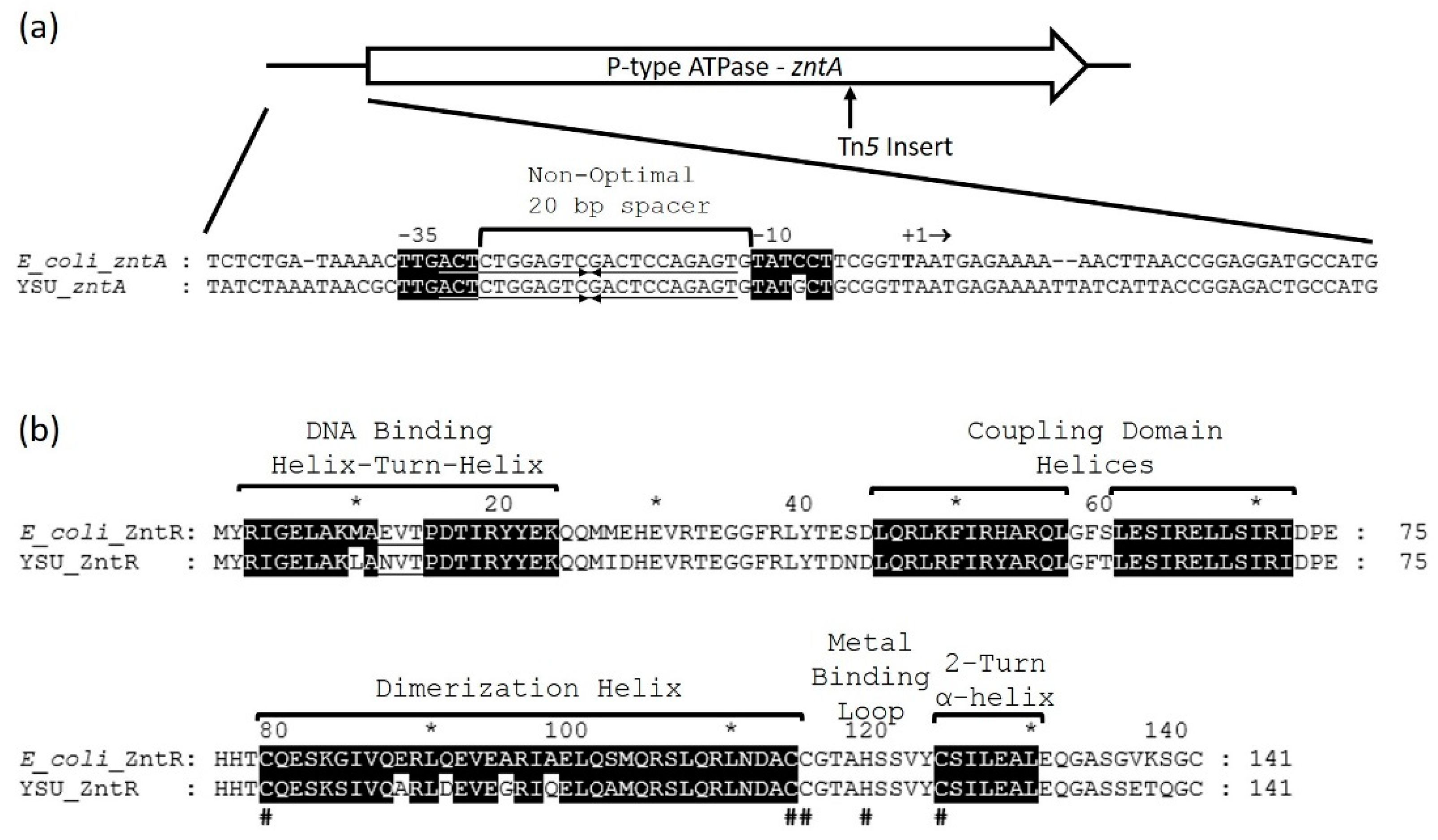 Micromachines 12 00142 g003