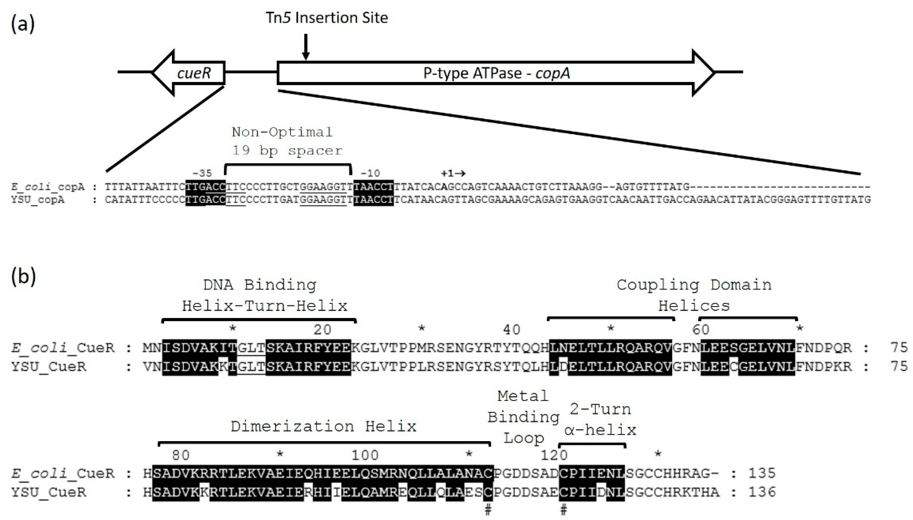 Micromachines 12 00142 g004