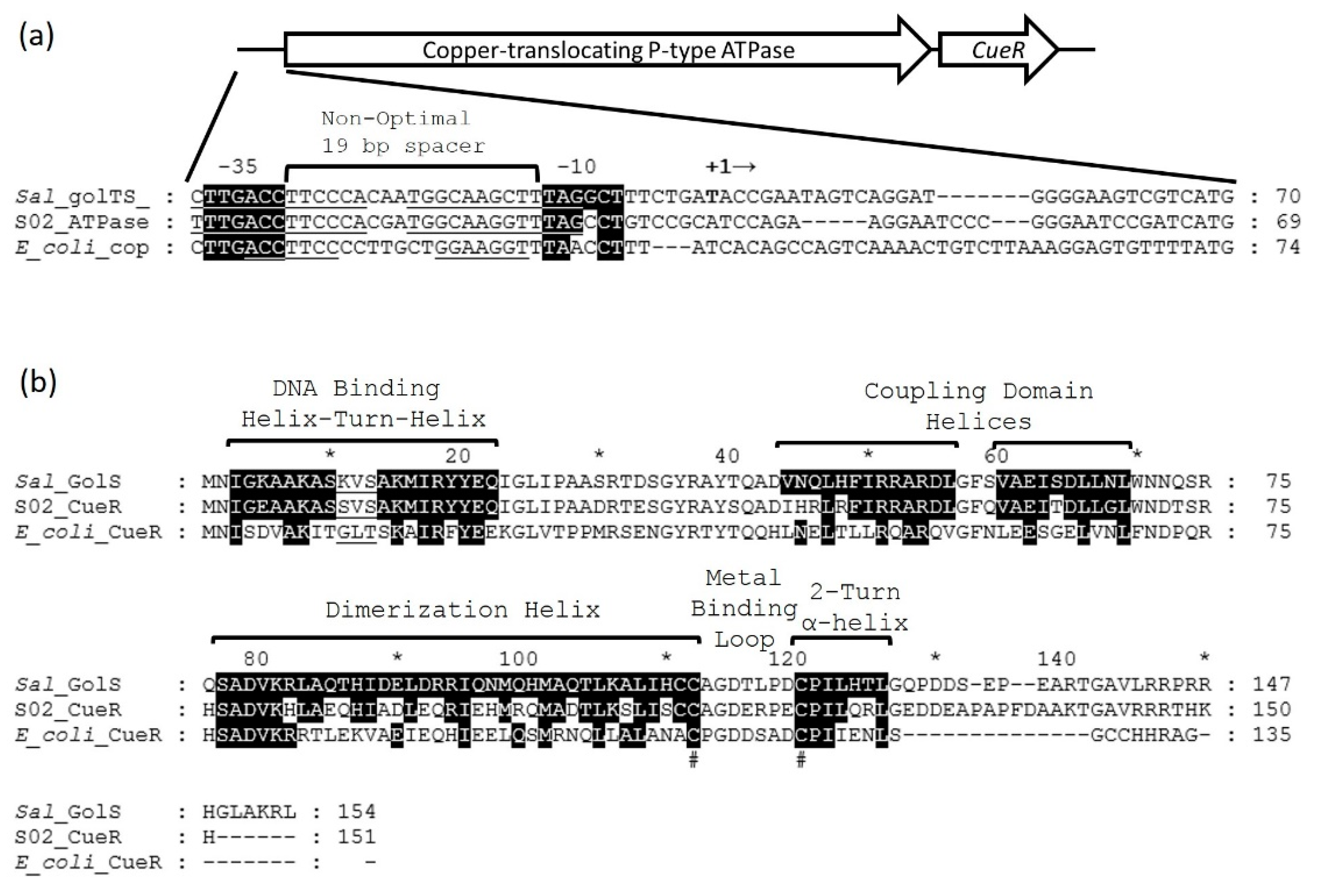 Micromachines 12 00142 g005