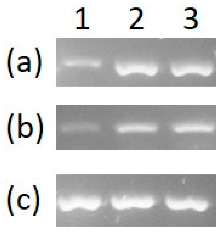 Micromachines 12 00142 g006