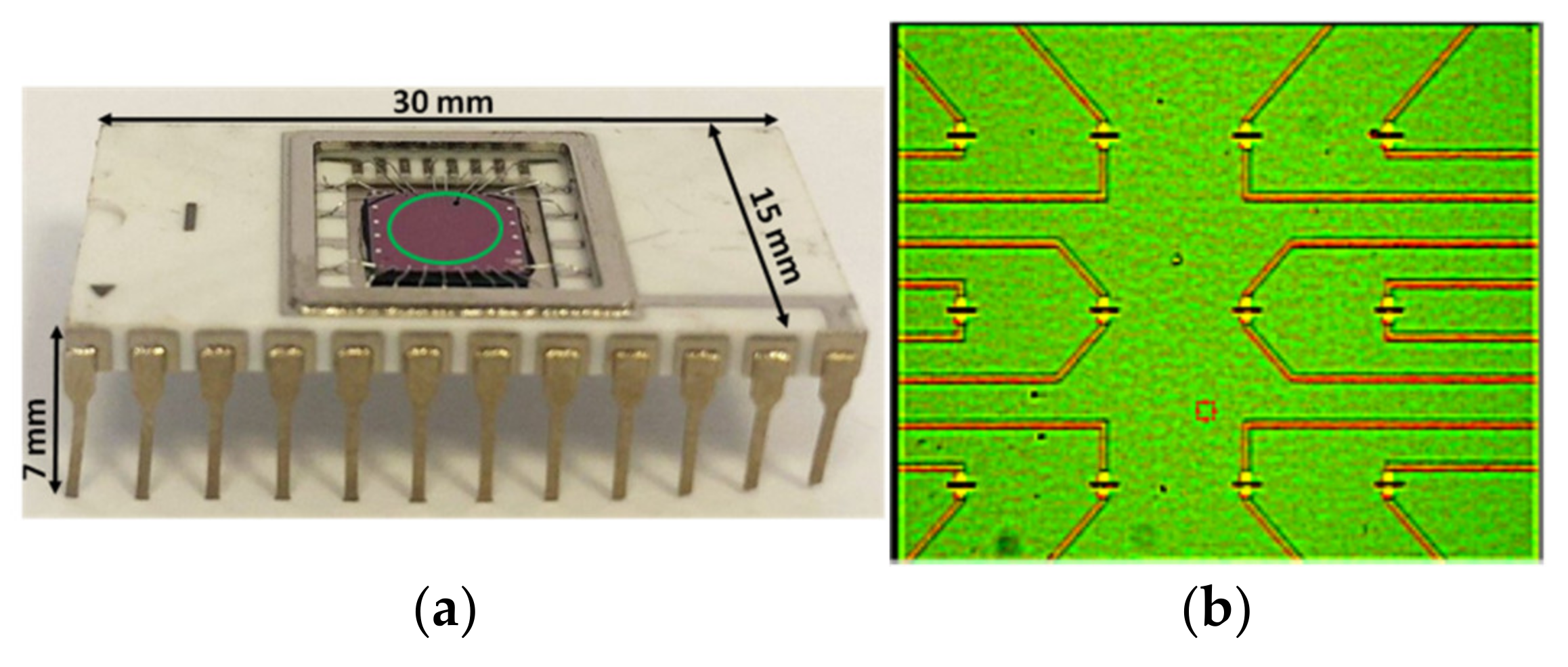 Micromachines 12 00147 g001 Micromachines 12 00147 g001