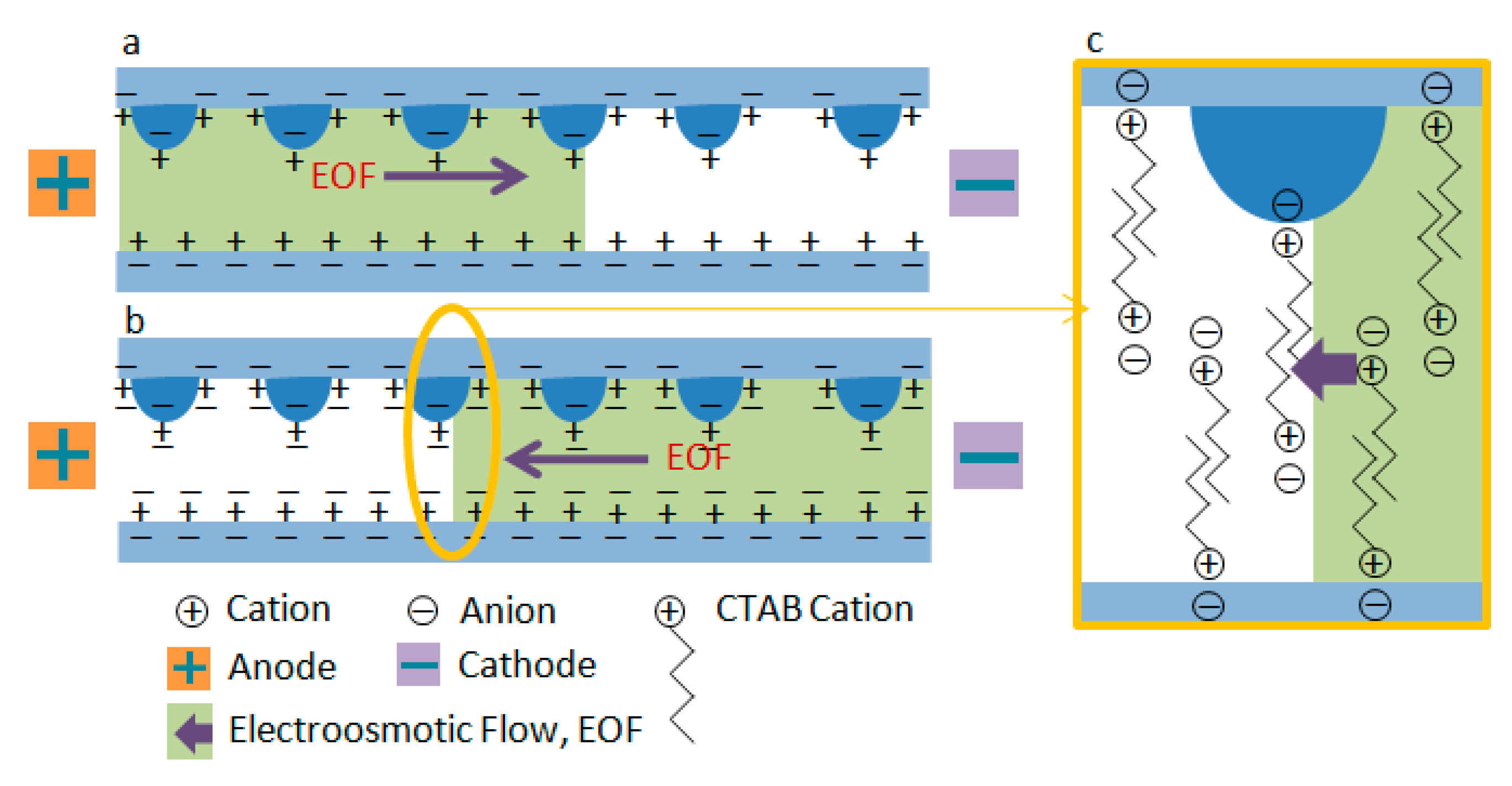 Micromachines 12 00153 g014