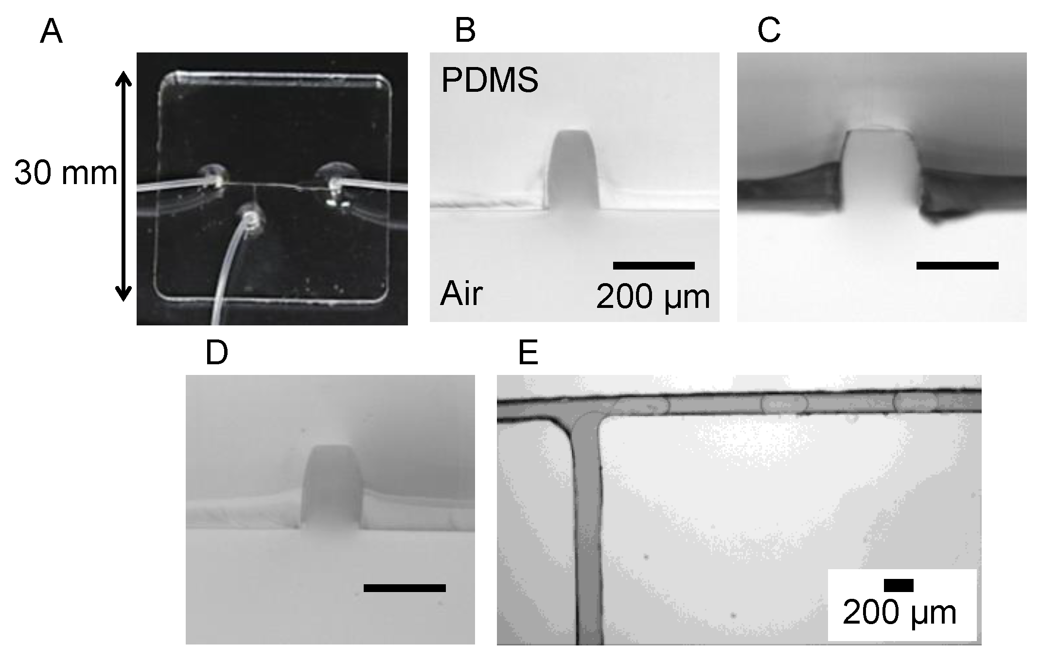 Micromachines 12 00160 g003