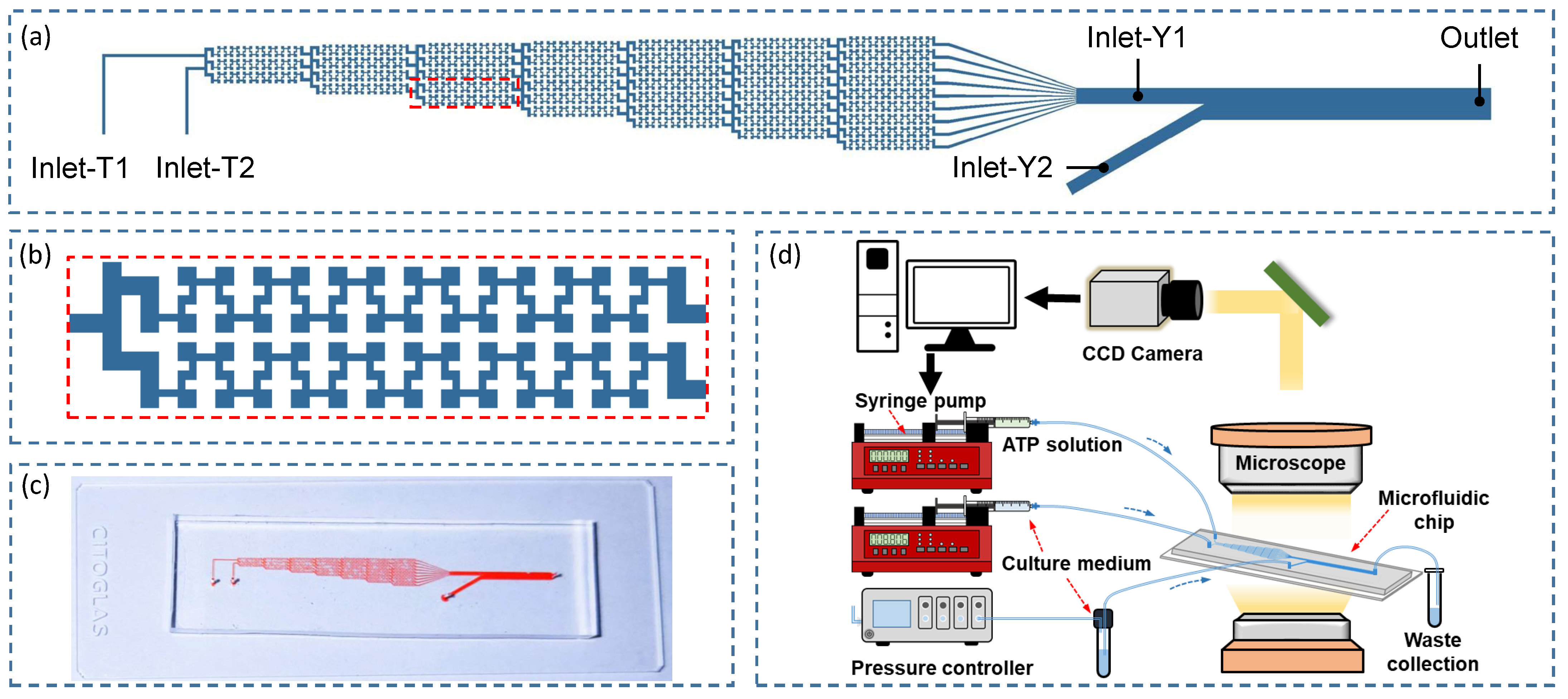 Micromachines 12 00161 g001
