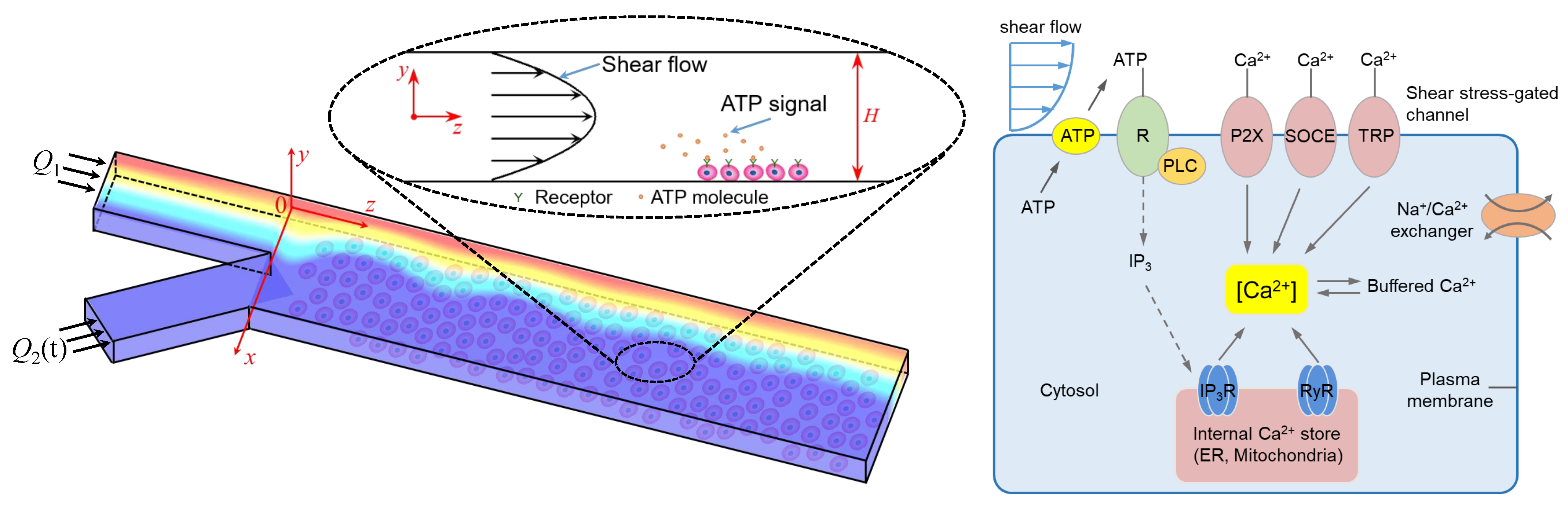 Micromachines 12 00161 g002