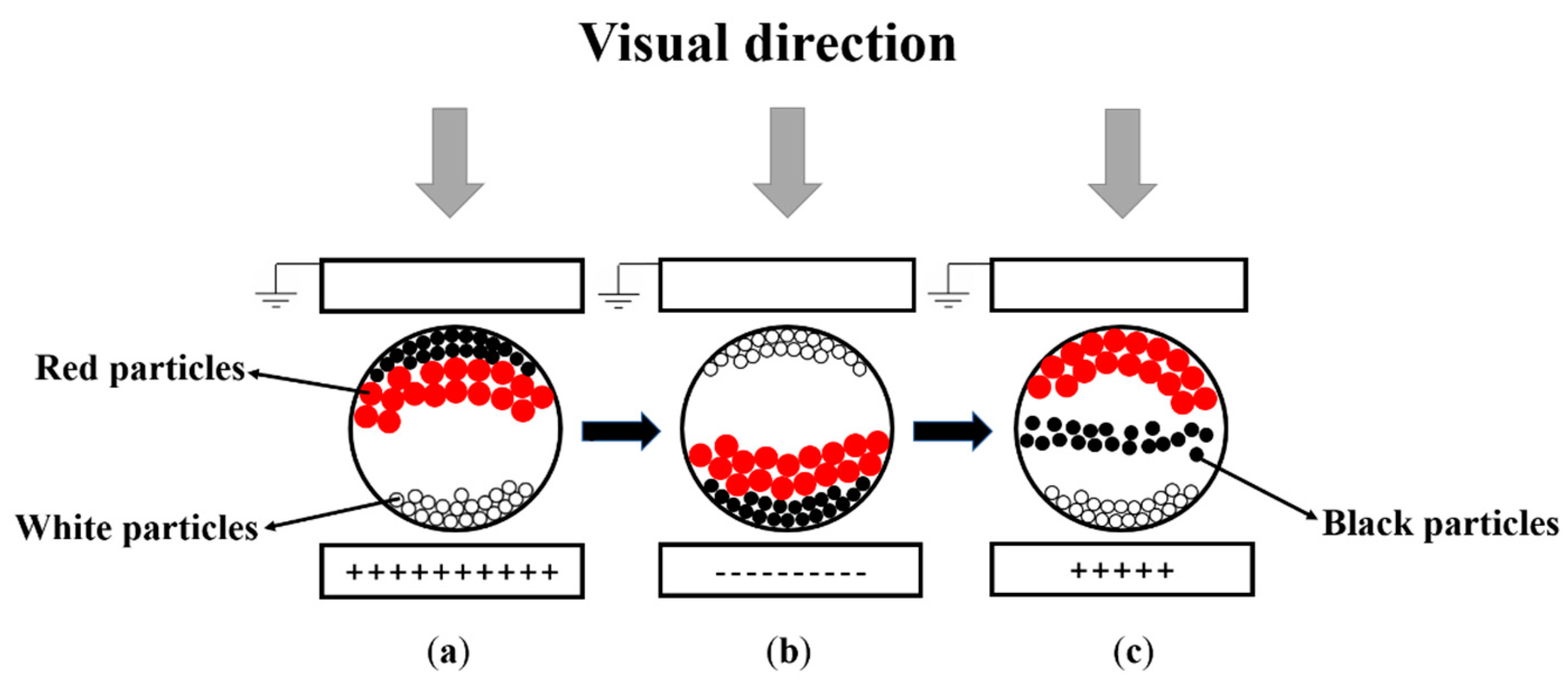 Micromachines 12 00162 g001