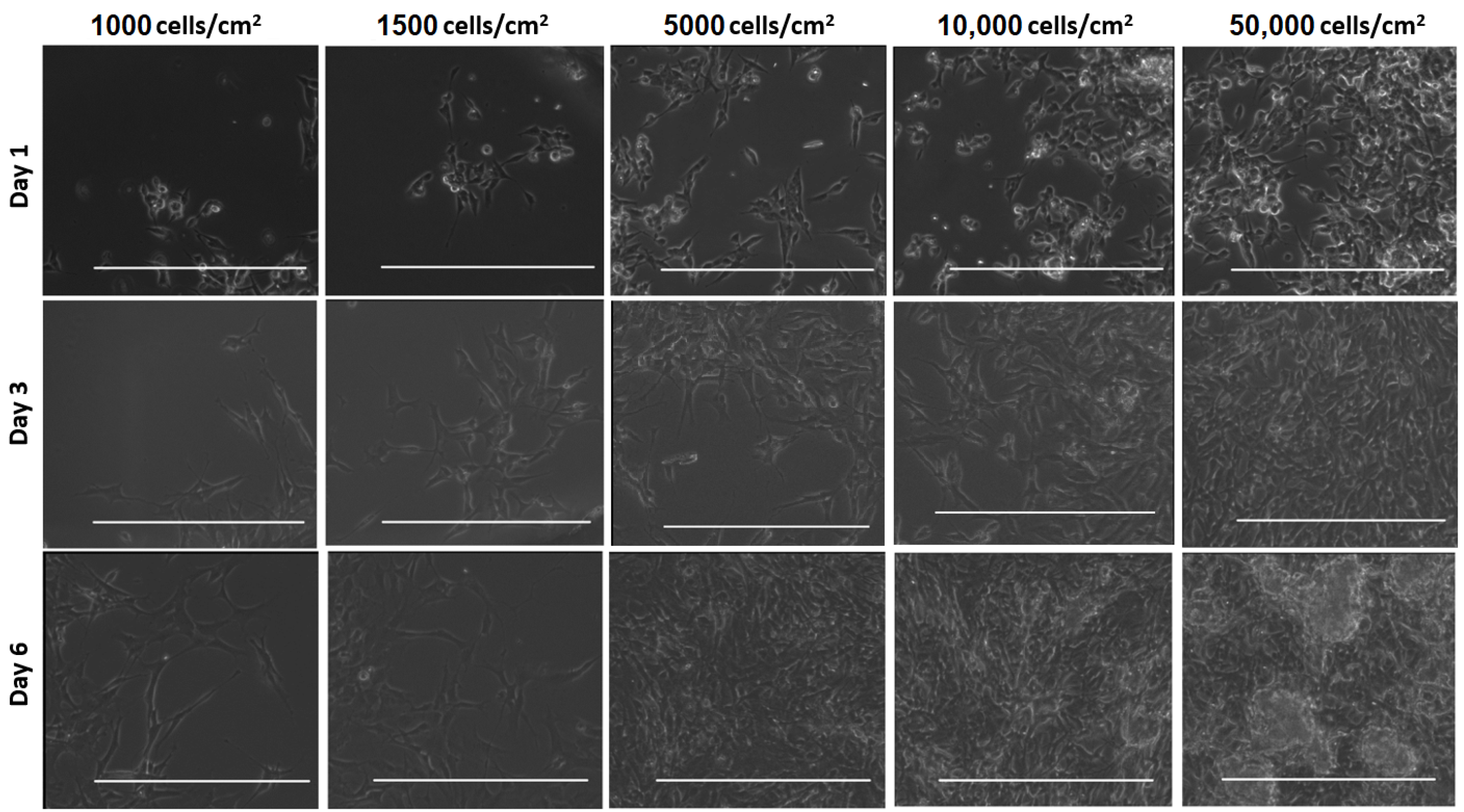 Micromachines 12 00165 g006