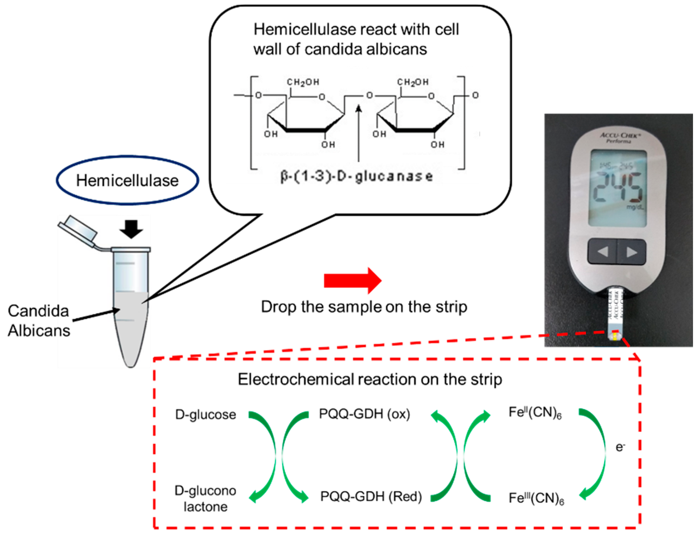 Micromachines 12 00166 g001