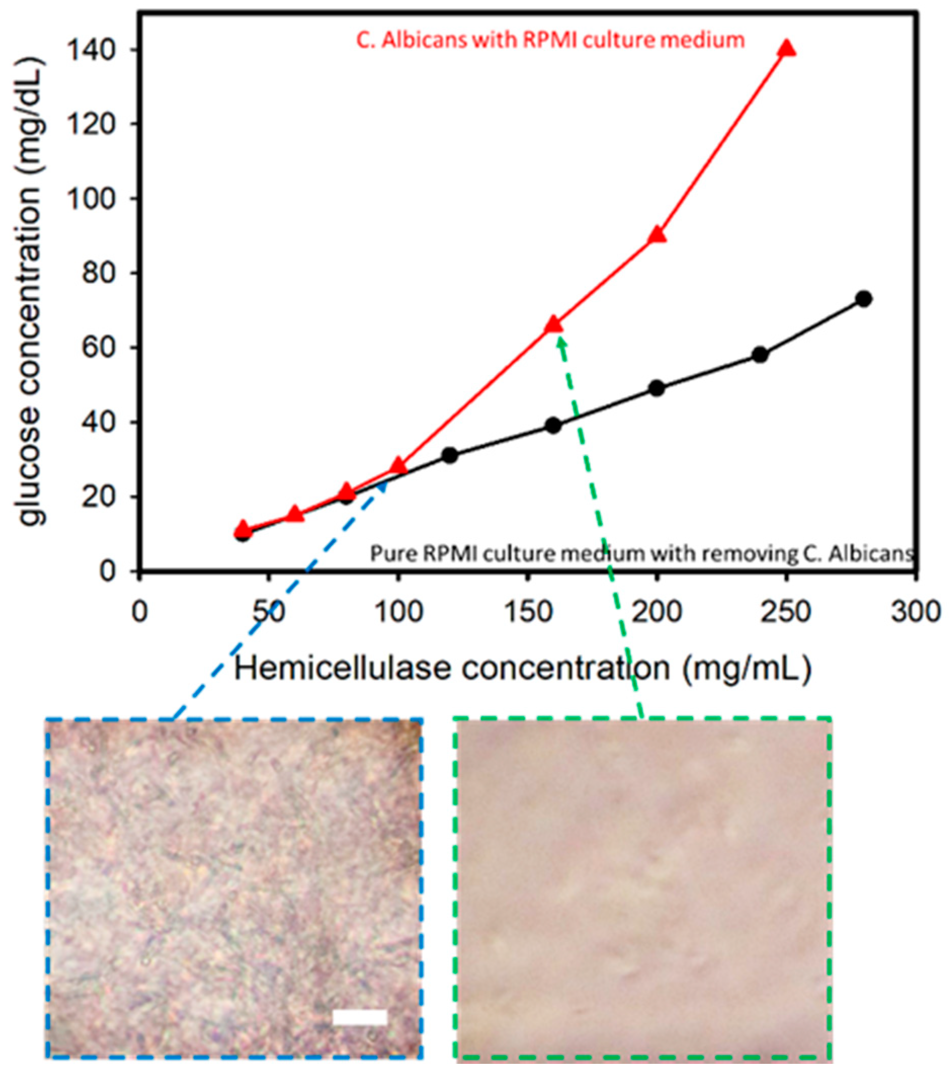 Micromachines 12 00166 g003