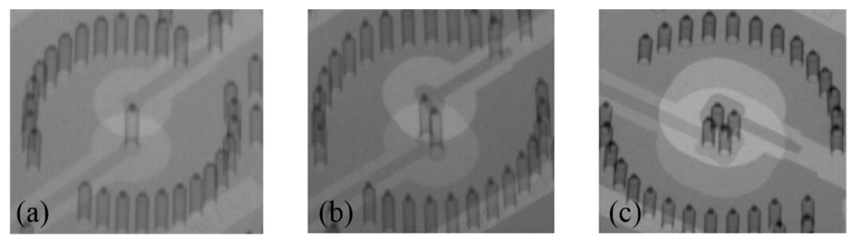 Micromachines 12 00169 g010