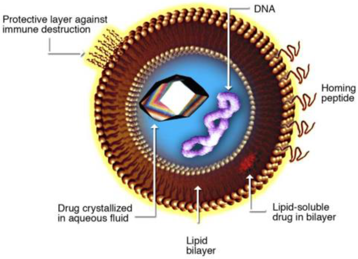Micromachines 12 00170 g001 Micromachines 12 00170 g001