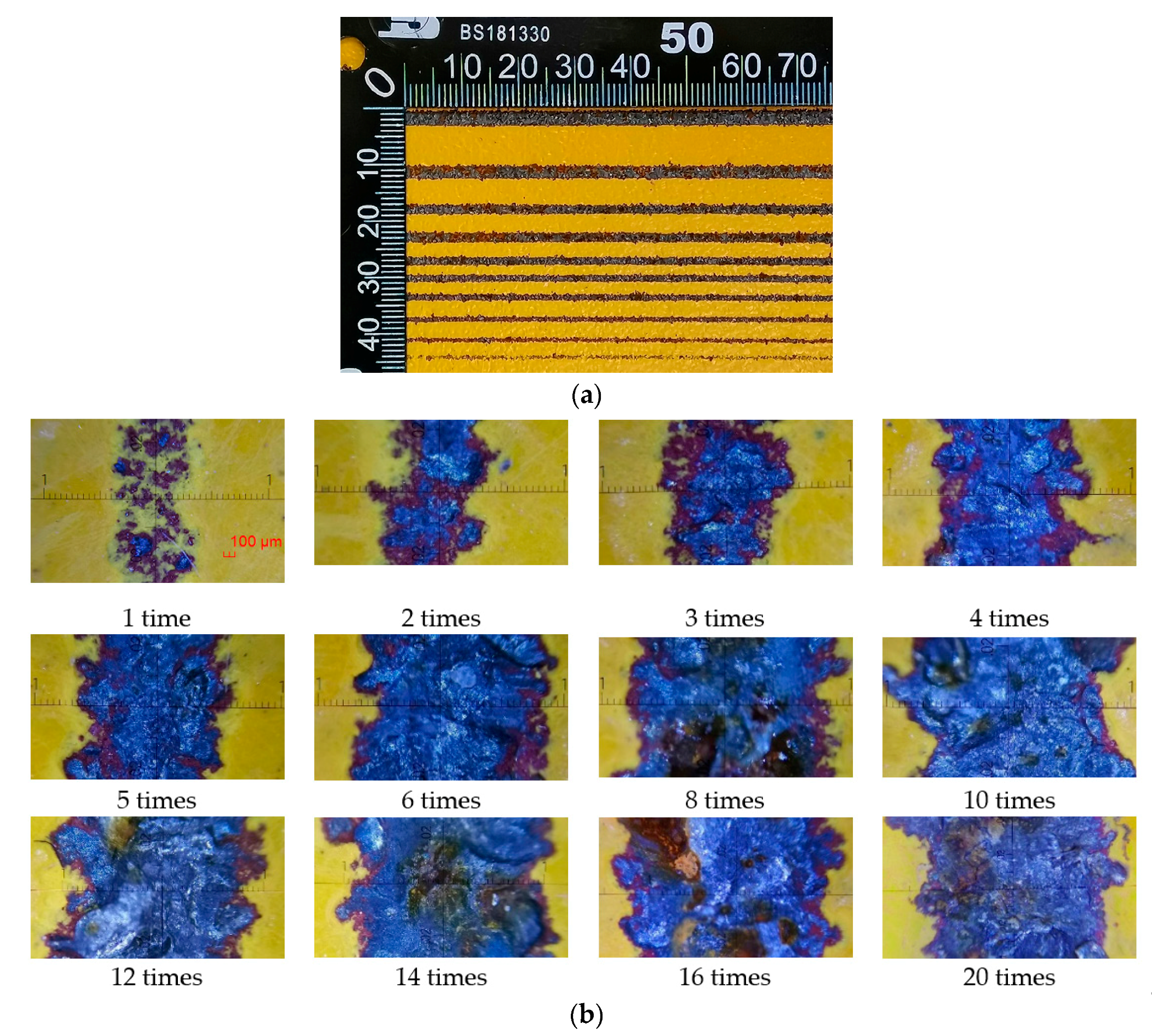 Micromachines 12 00173 g007