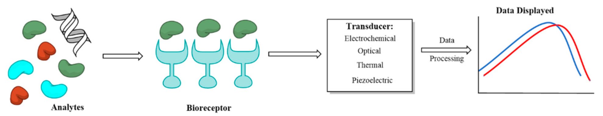 Micromachines 12 00174 g001