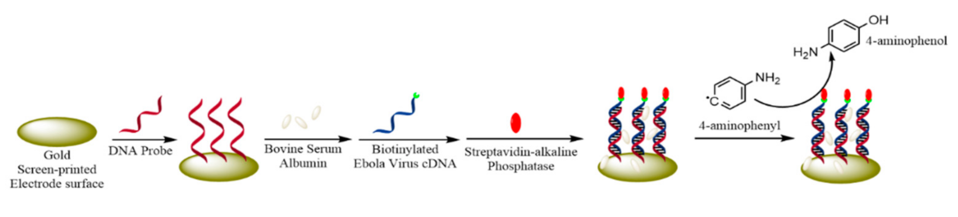Micromachines 12 00174 g004