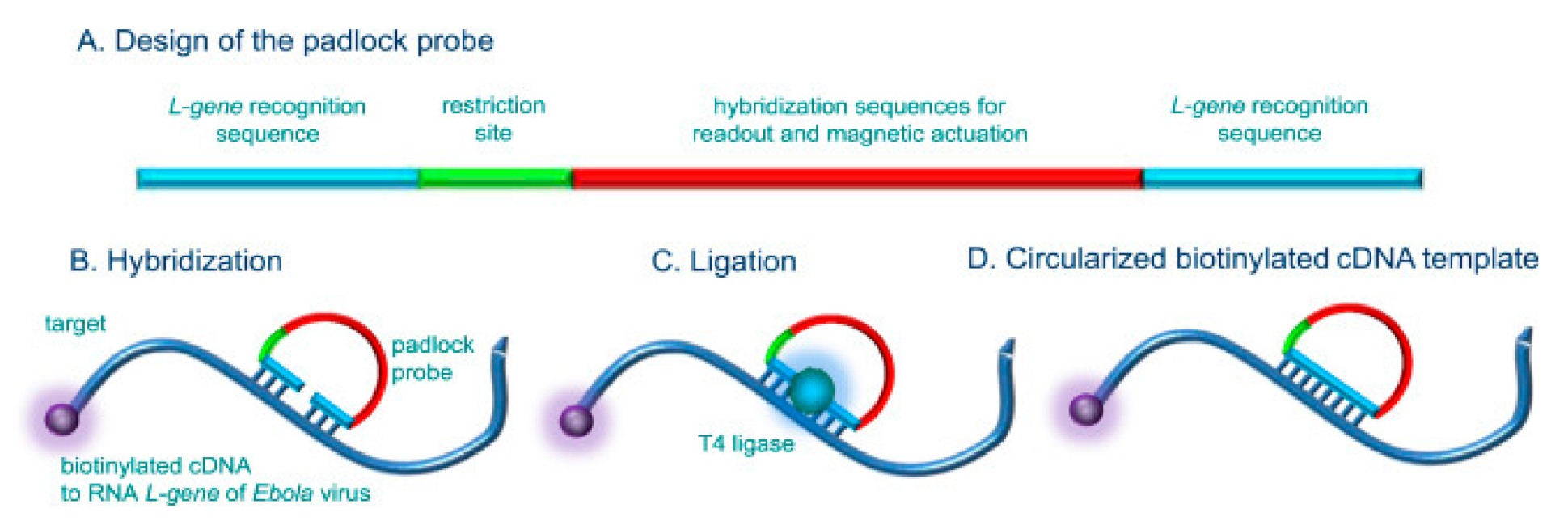 Micromachines 12 00174 g005